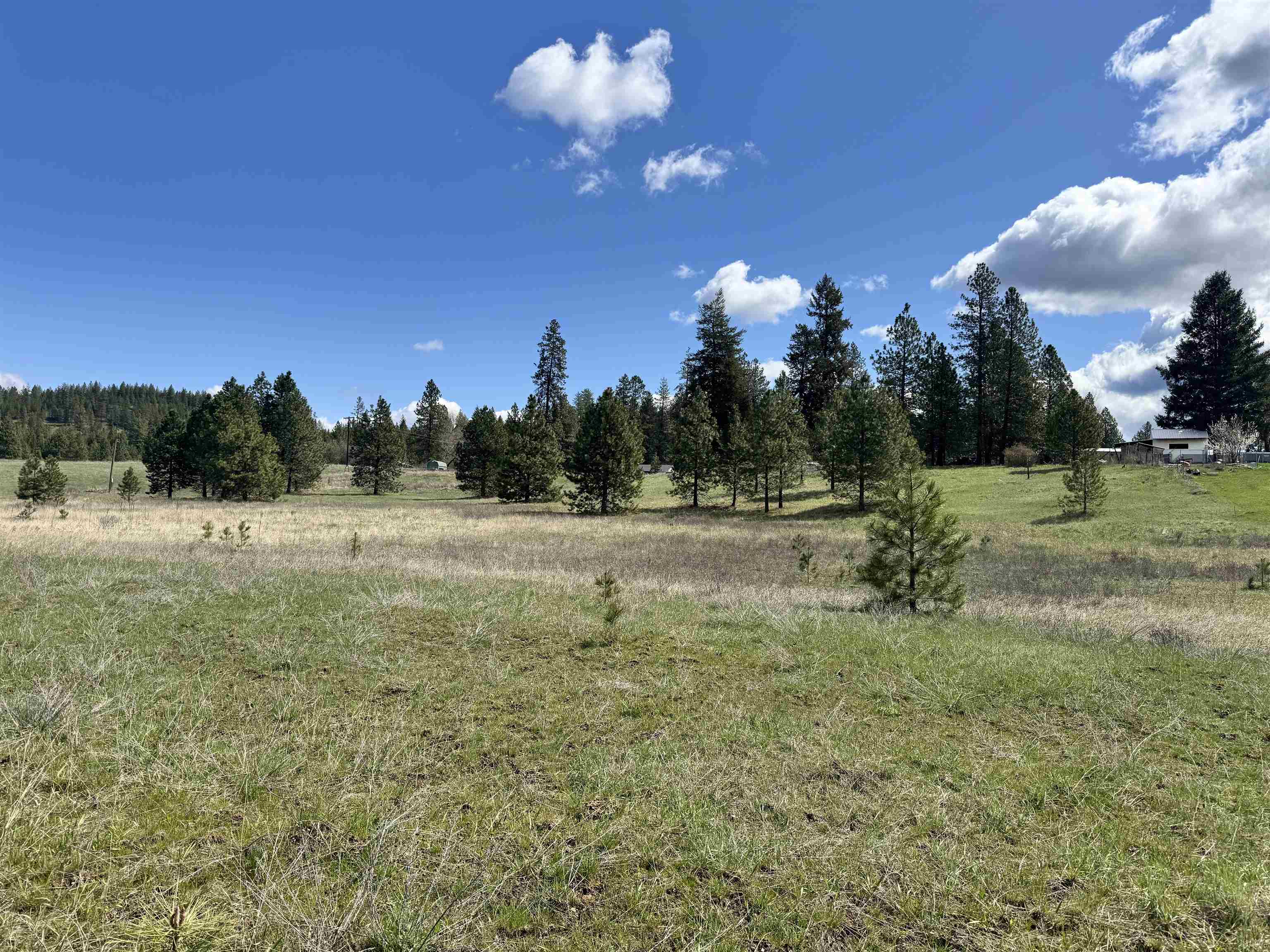 Xx West Webb Avenue Springdale, WA 99173 - Photo 4 of 11