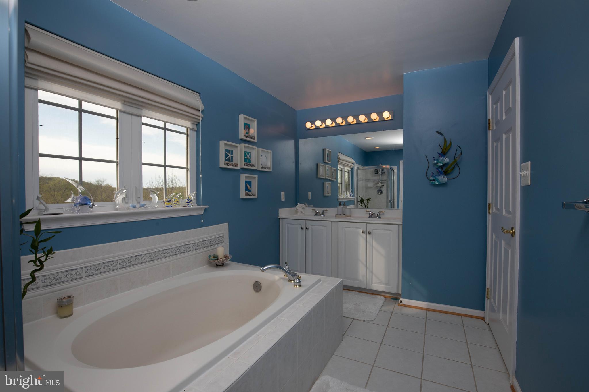 11028 Country Club Road New Market, MD 21774 - Photo 18 of 42 Double sinks in owners bath
