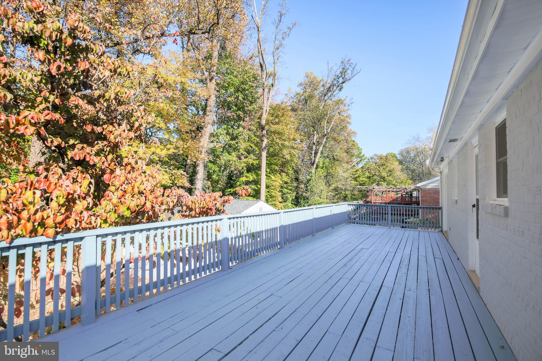 7306 Jervis Street Springfield, VA 22151 - Photo 22 of 64