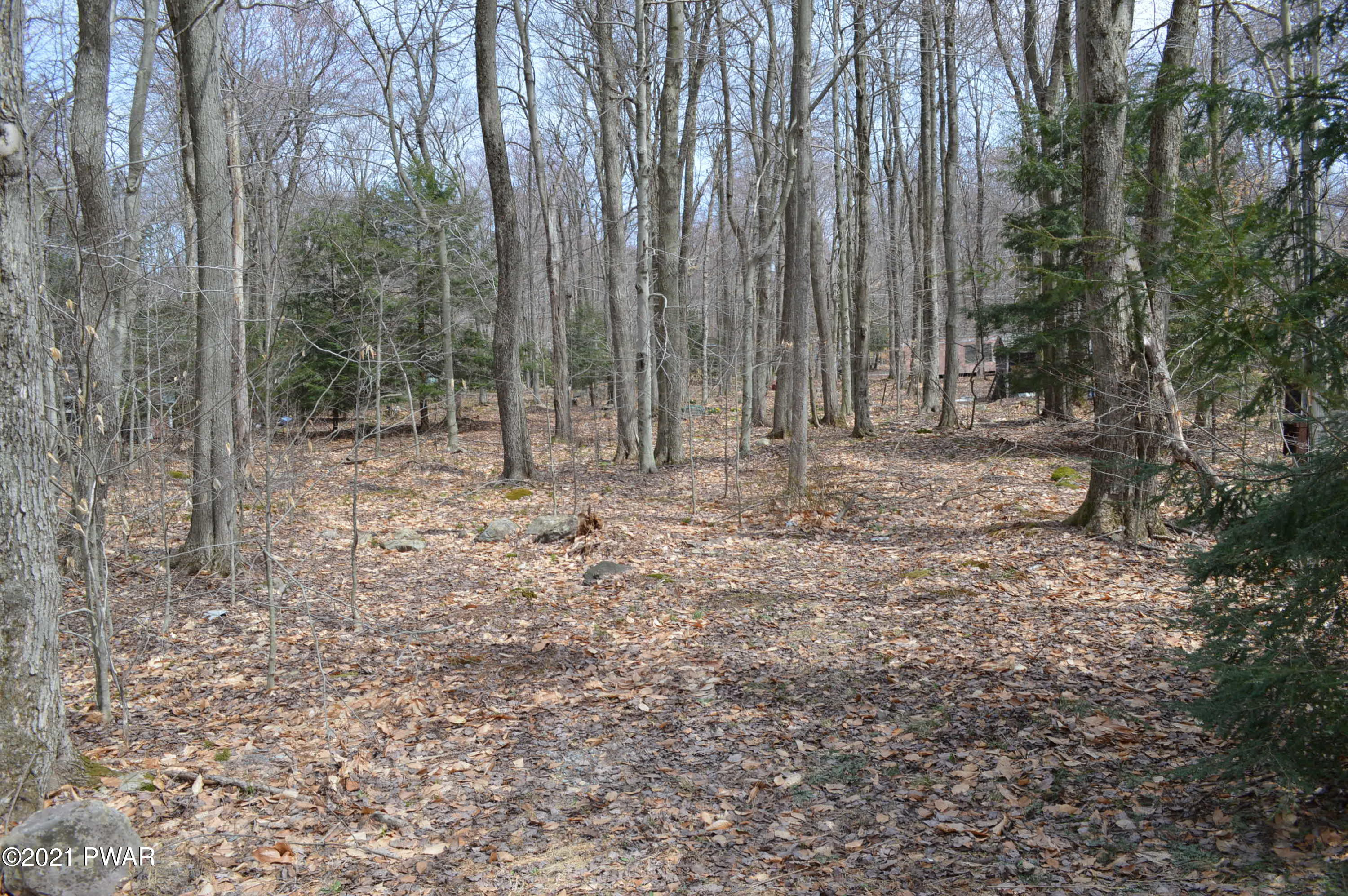 507 Rt Newfoundland, PA 18445 - Photo 2 of 2