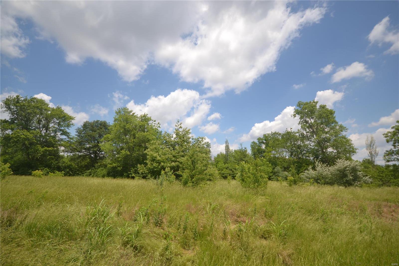 2940 Floraville Road Smithton, IL 62285 - Photo 1 of 3