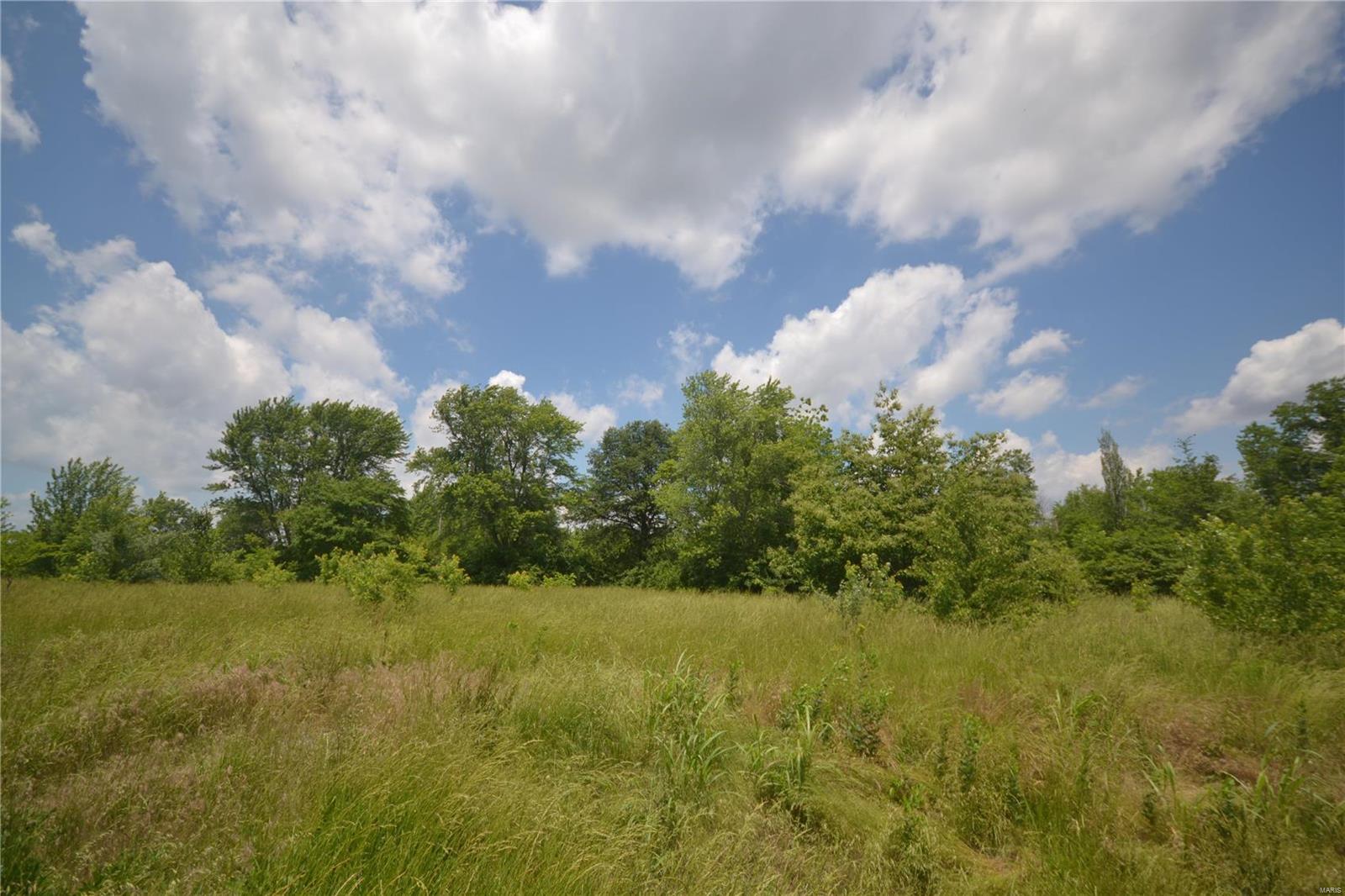 2940 Floraville Road Smithton, IL 62285 - Photo 2 of 3