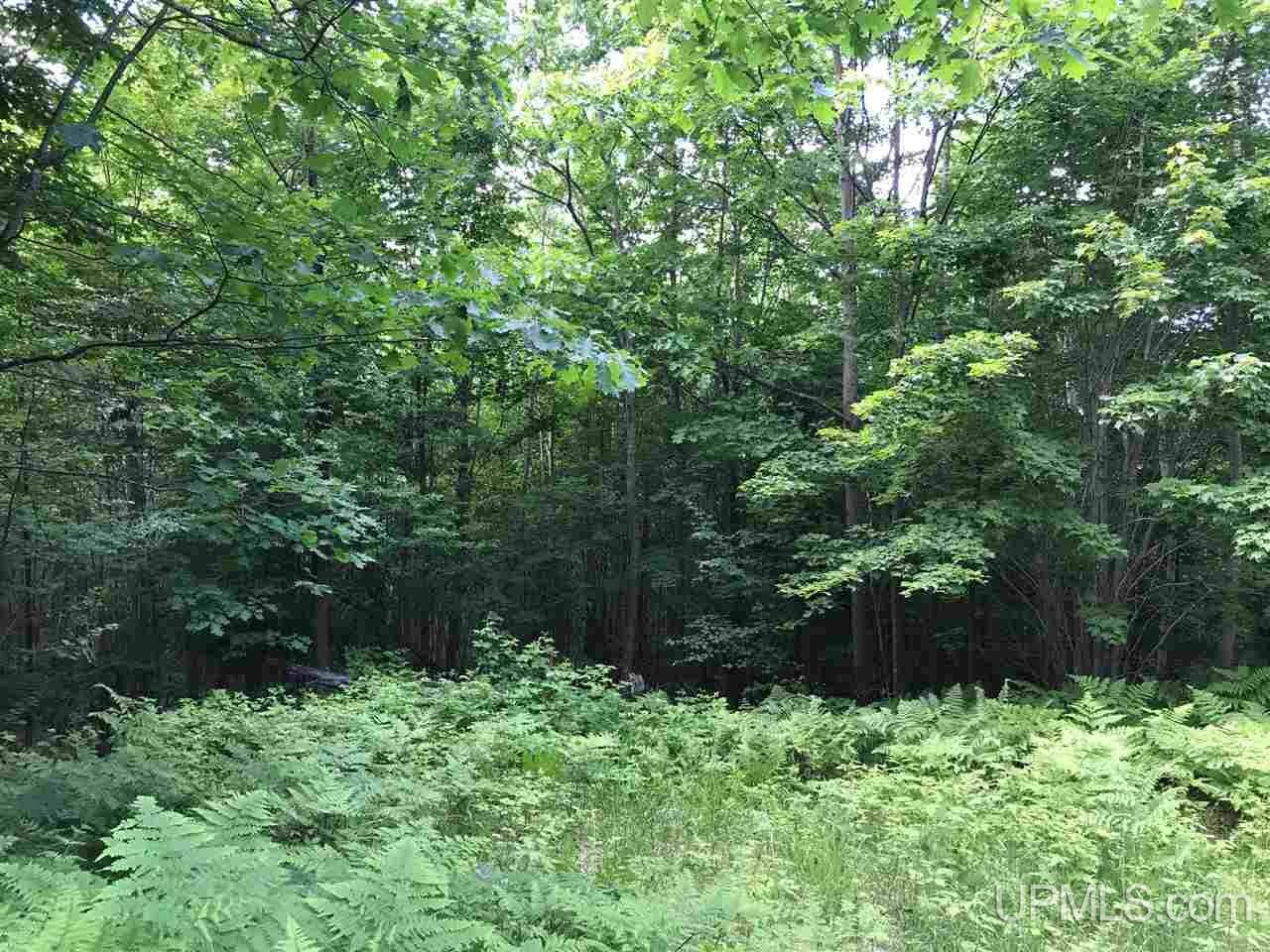 Tbd Usimaki Road Lanse, MI 49946 - Photo 3 of 9