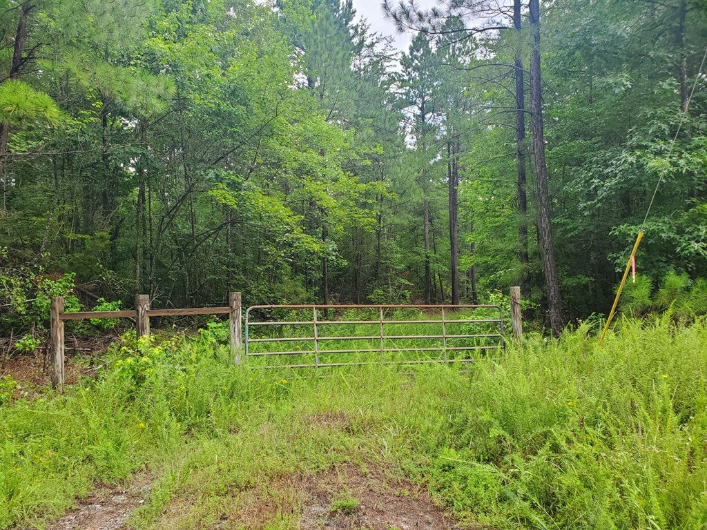 Washout Road Keysville, VA 23947 - Photo 3 of 7 Gallery Image 3