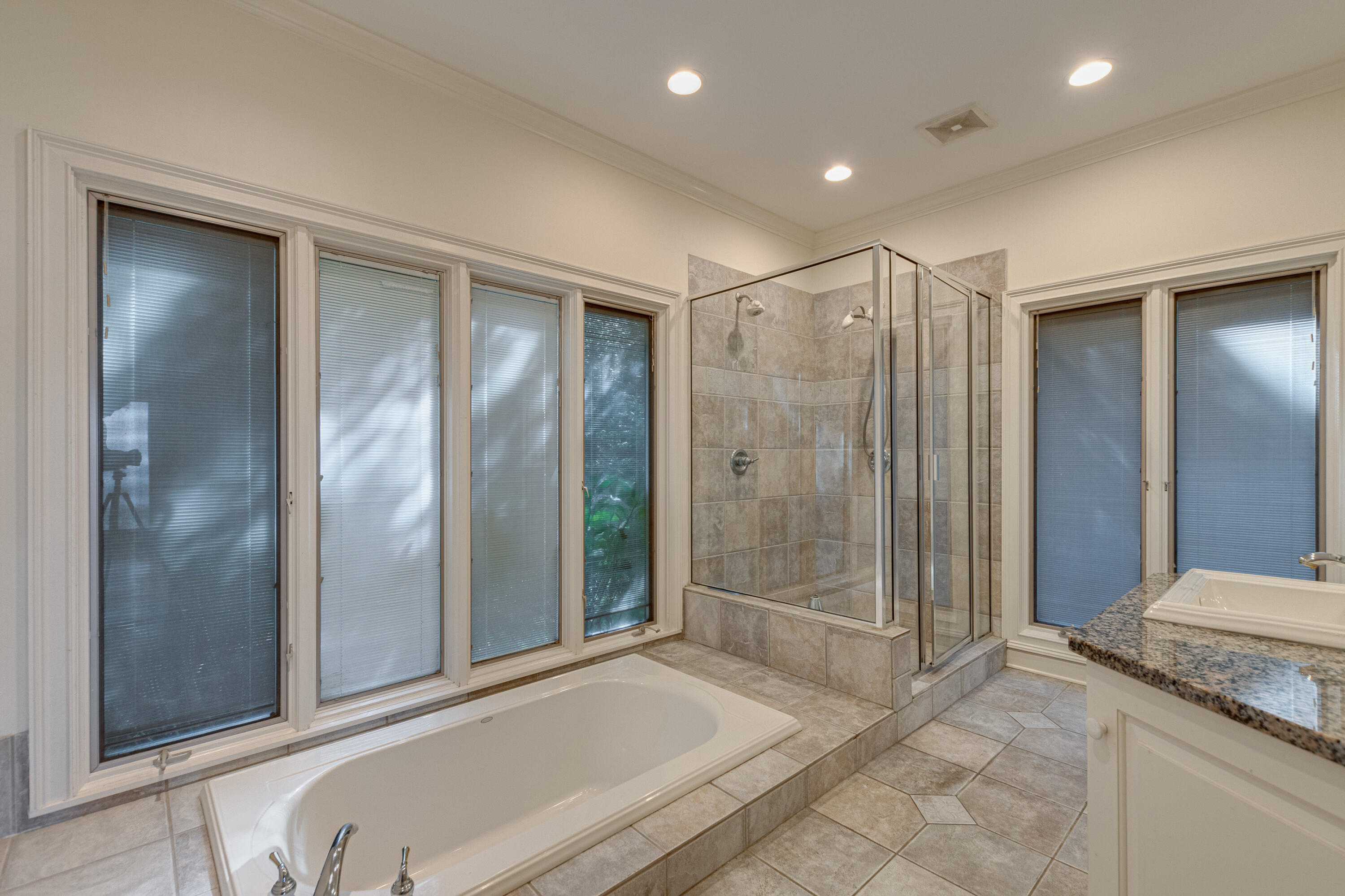 462 Frontier Bluff Road Lookout Mountain, GA 30750 - Photo 15 of 59 462 Fronteir Bluff Rd interior-11