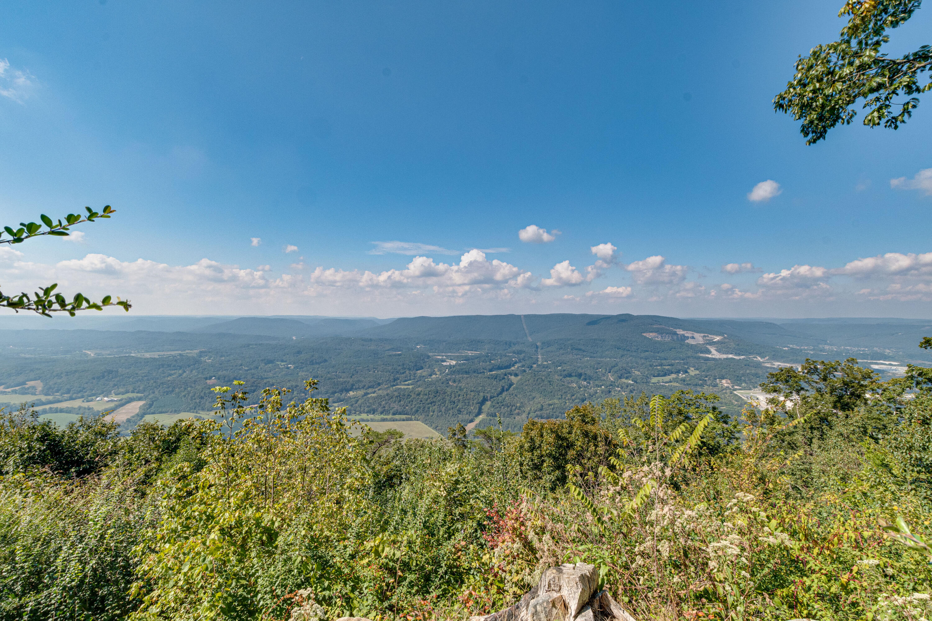 462 Frontier Bluff Road Lookout Mountain, GA 30750 - Photo 46 of 59 462 Frontier Bluff Rd-21
