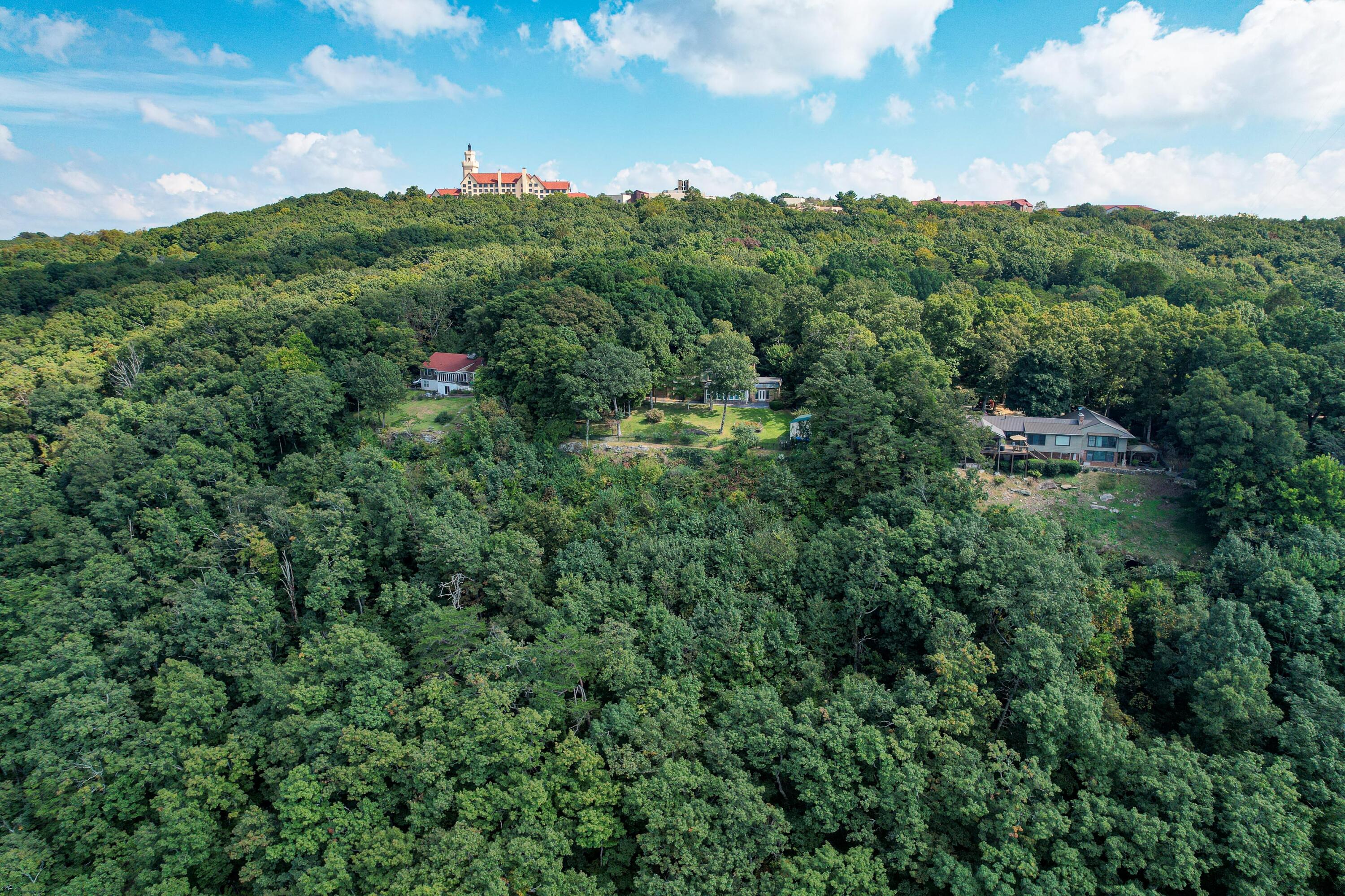 462 Frontier Bluff Road Lookout Mountain, GA 30750 - Photo 55 of 59 462 Frontier Bluff Rd-43