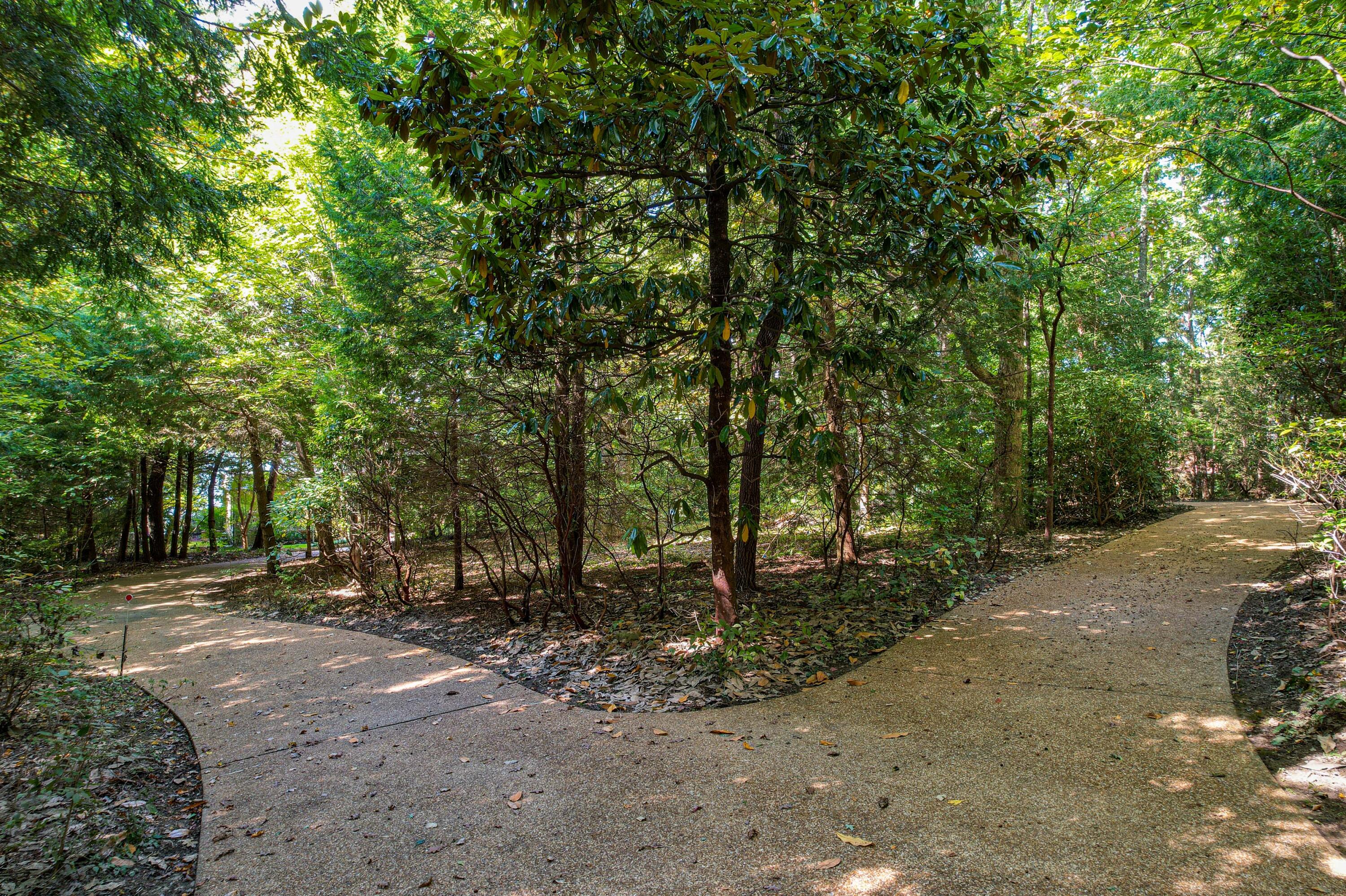 462 Frontier Bluff Road Lookout Mountain, GA 30750 - Photo 58 of 59 462 Frontier Bluff Rd-50