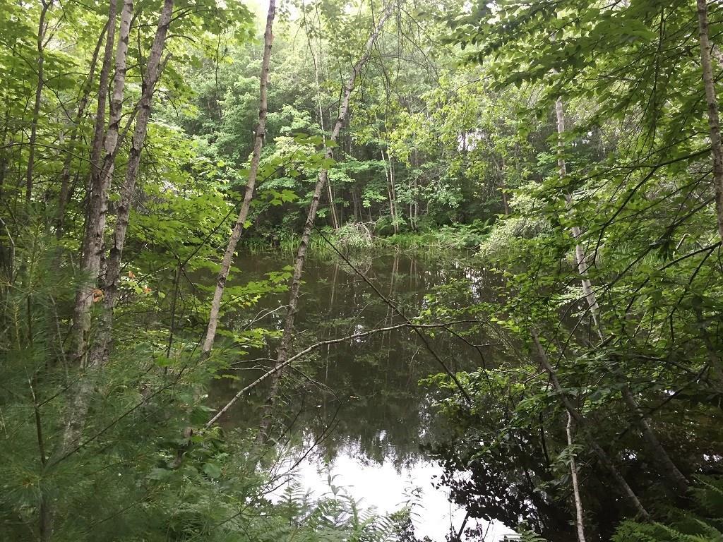 101 New Portland Road North Anson, ME 04958 - Photo 31 of 33 Photo