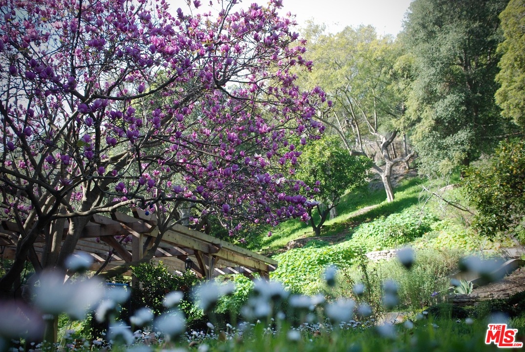 919 Rivas Canyon Road Pacific Palisades, CA 90272 - Photo 42 of 45