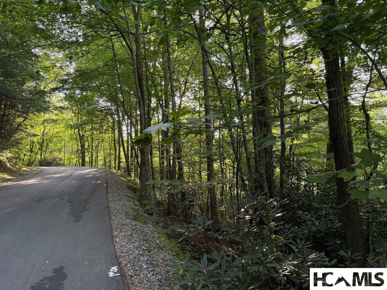 24 Wandering Ridge Cashiers, NC 28717 - Photo 4 of 30 Gallery Image 4
