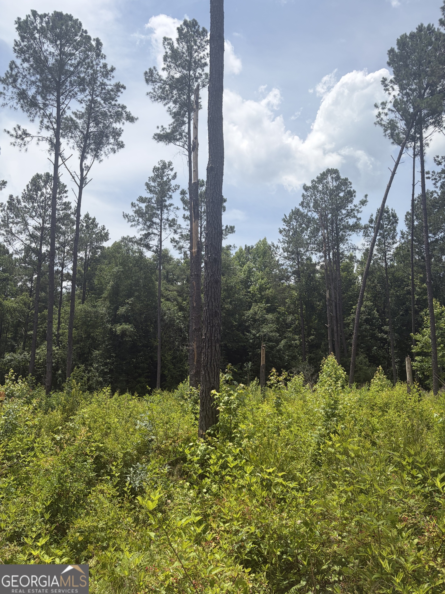 10 Sunhill Grange Road Sandersville, GA 31018 - Photo 4 of 12