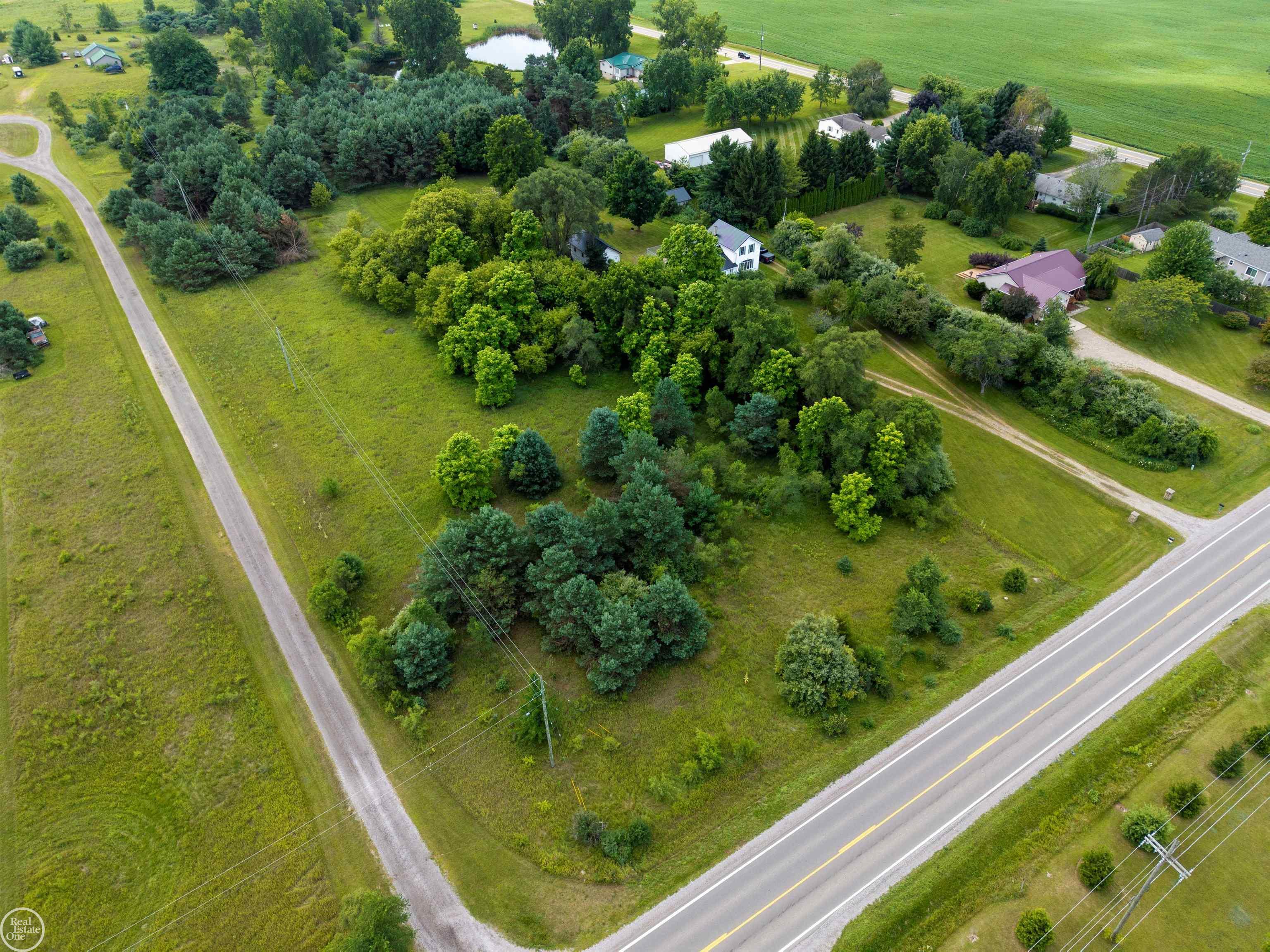 2538 East Burnside Road North Branch, MI 48461 - Photo 46 of 56