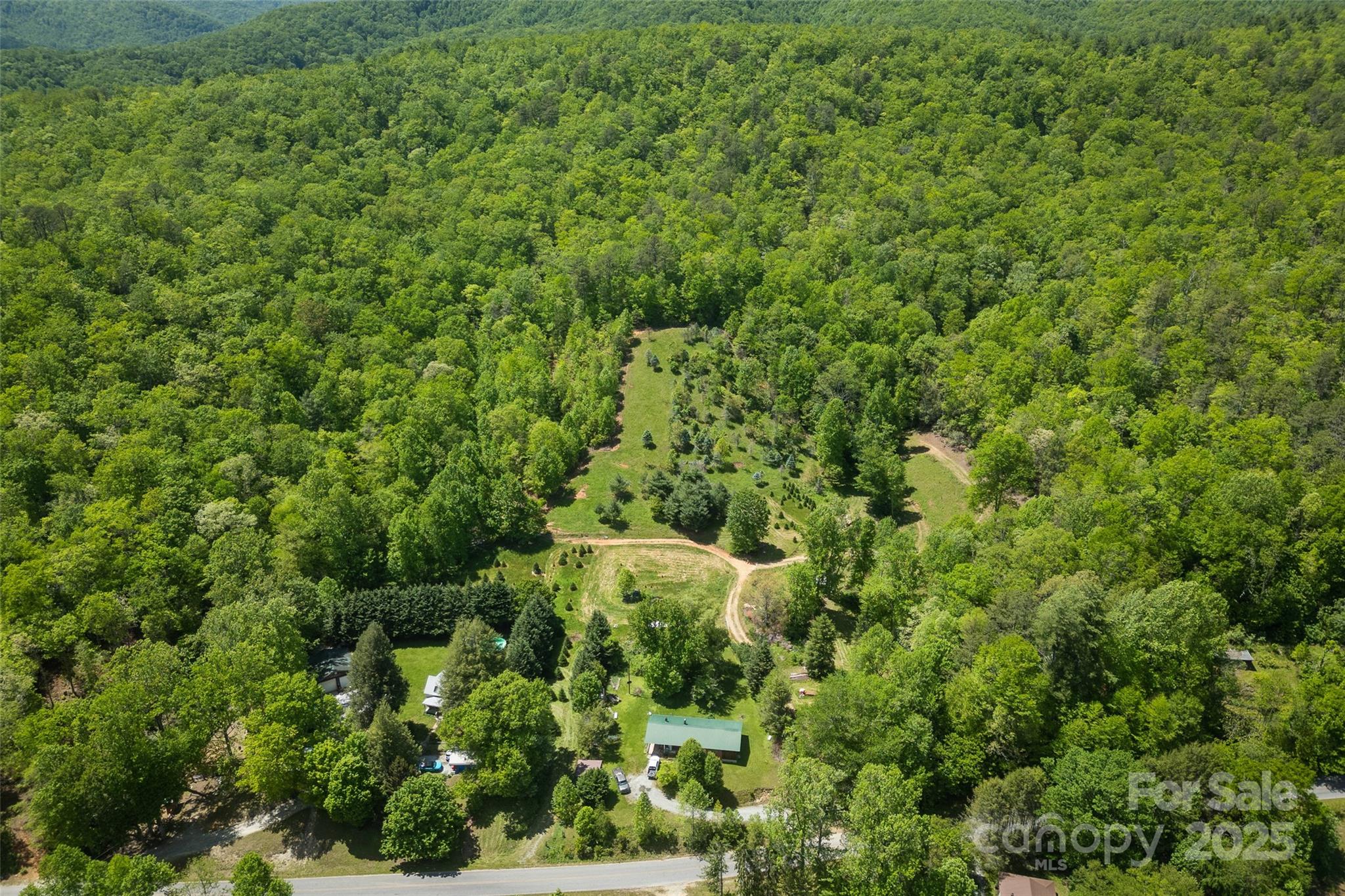 1557 Shoal Creek Road Balsam Grove, NC 28708 - Photo 11 of 33 a view of a forest with a street