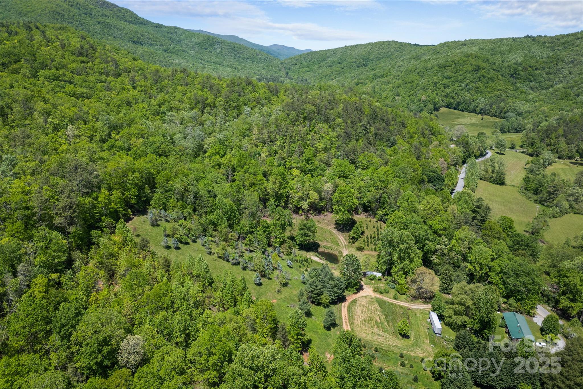 1557 Shoal Creek Road Balsam Grove, NC 28708 - Photo 13 of 33 a view of a lush green forest with trees in the background