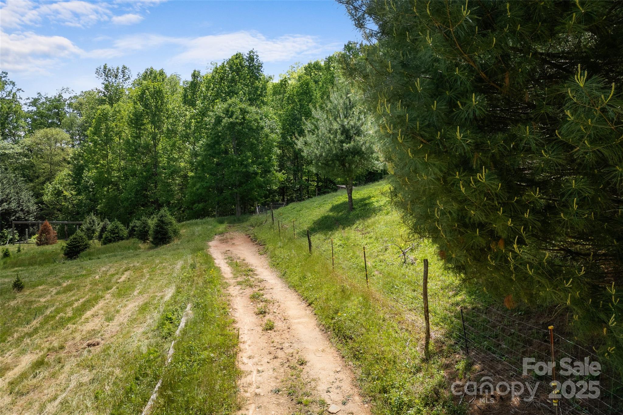 1557 Shoal Creek Road Balsam Grove, NC 28708 - Photo 14 of 33 a view of swimming pool