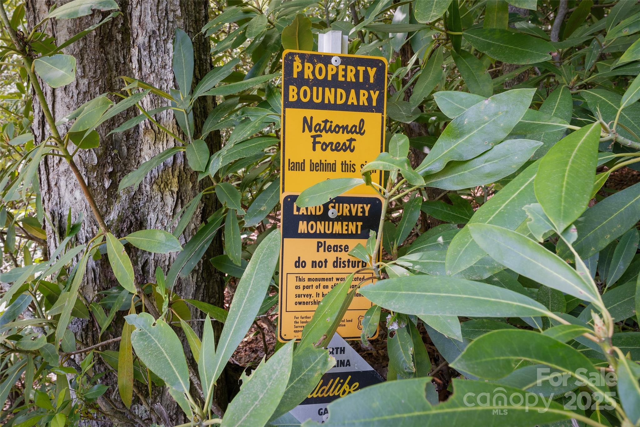 1557 Shoal Creek Road Balsam Grove, NC 28708 - Photo 16 of 33 a view of a sign that is on a tree