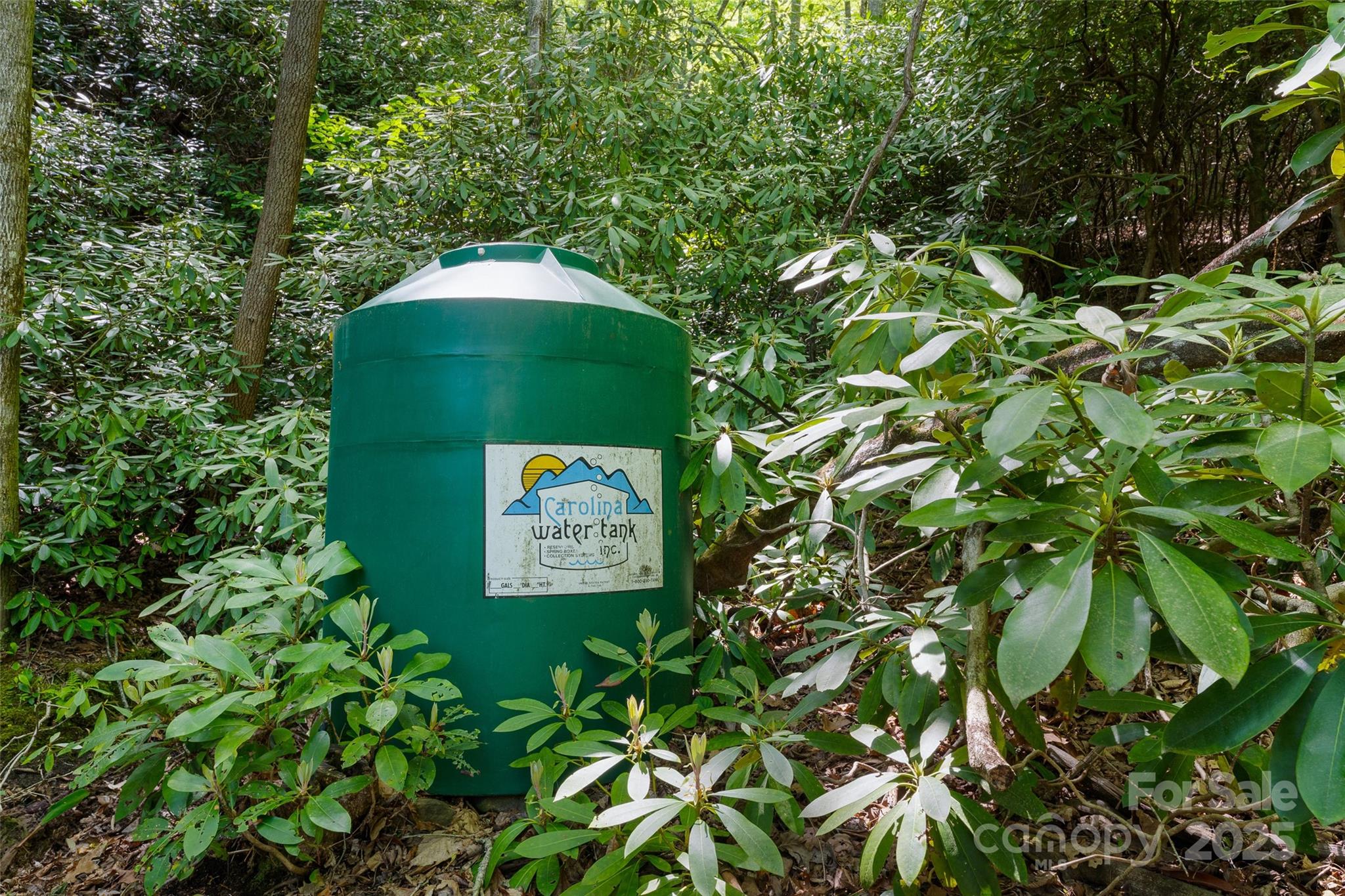 1557 Shoal Creek Road Balsam Grove, NC 28708 - Photo 18 of 33 a close up of a tree in a garden