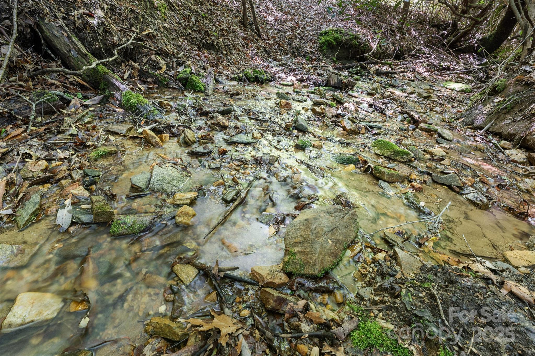 1557 Shoal Creek Road Balsam Grove, NC 28708 - Photo 19 of 33 a view of a bunch of trees and bushes