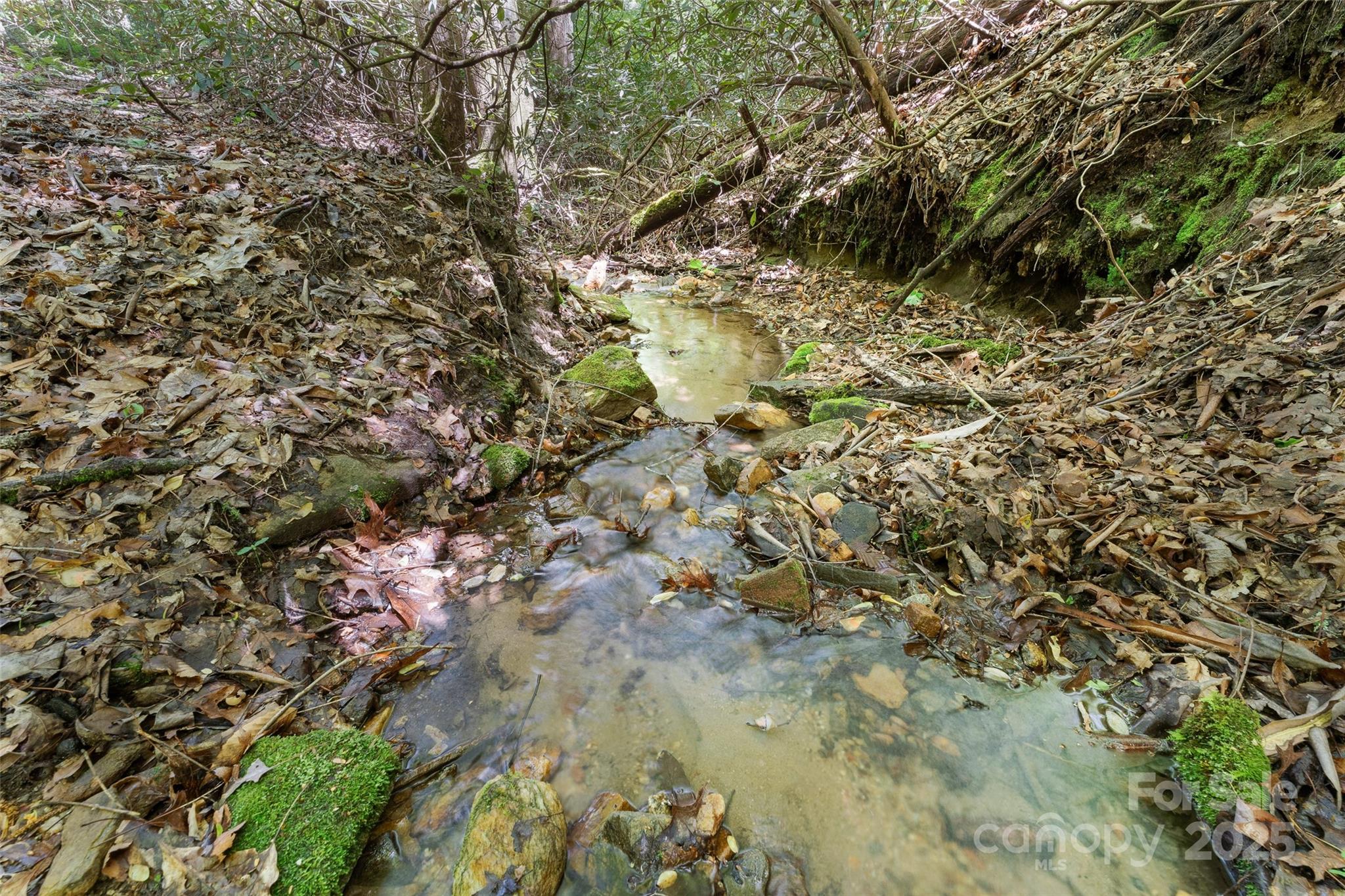 1557 Shoal Creek Road Balsam Grove, NC 28708 - Photo 20 of 33 a view of a yard with a tree
