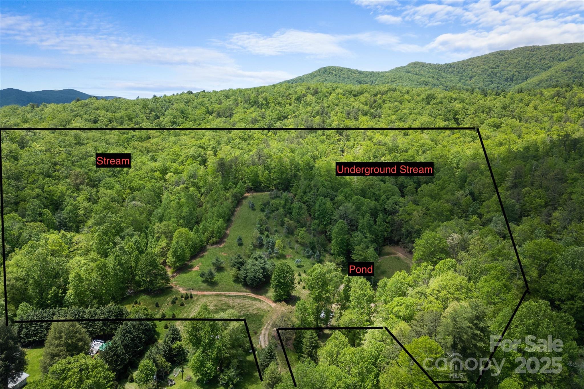 1557 Shoal Creek Road Balsam Grove, NC 28708 - Photo 22 of 33 a view of a bunch of trees and bushes