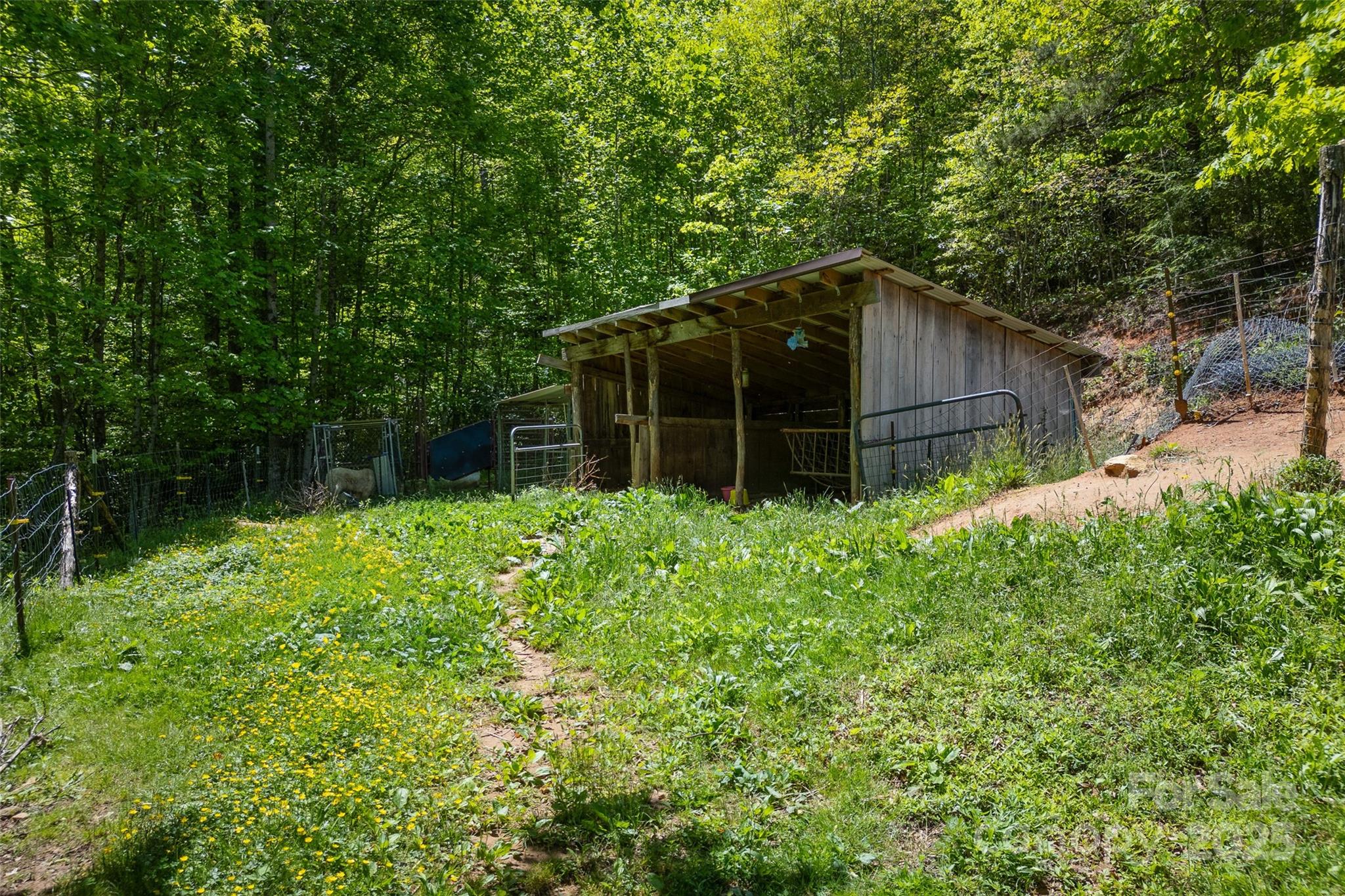 1557 Shoal Creek Road Balsam Grove, NC 28708 - Photo 24 of 33 a backyard of a house with lots of green space