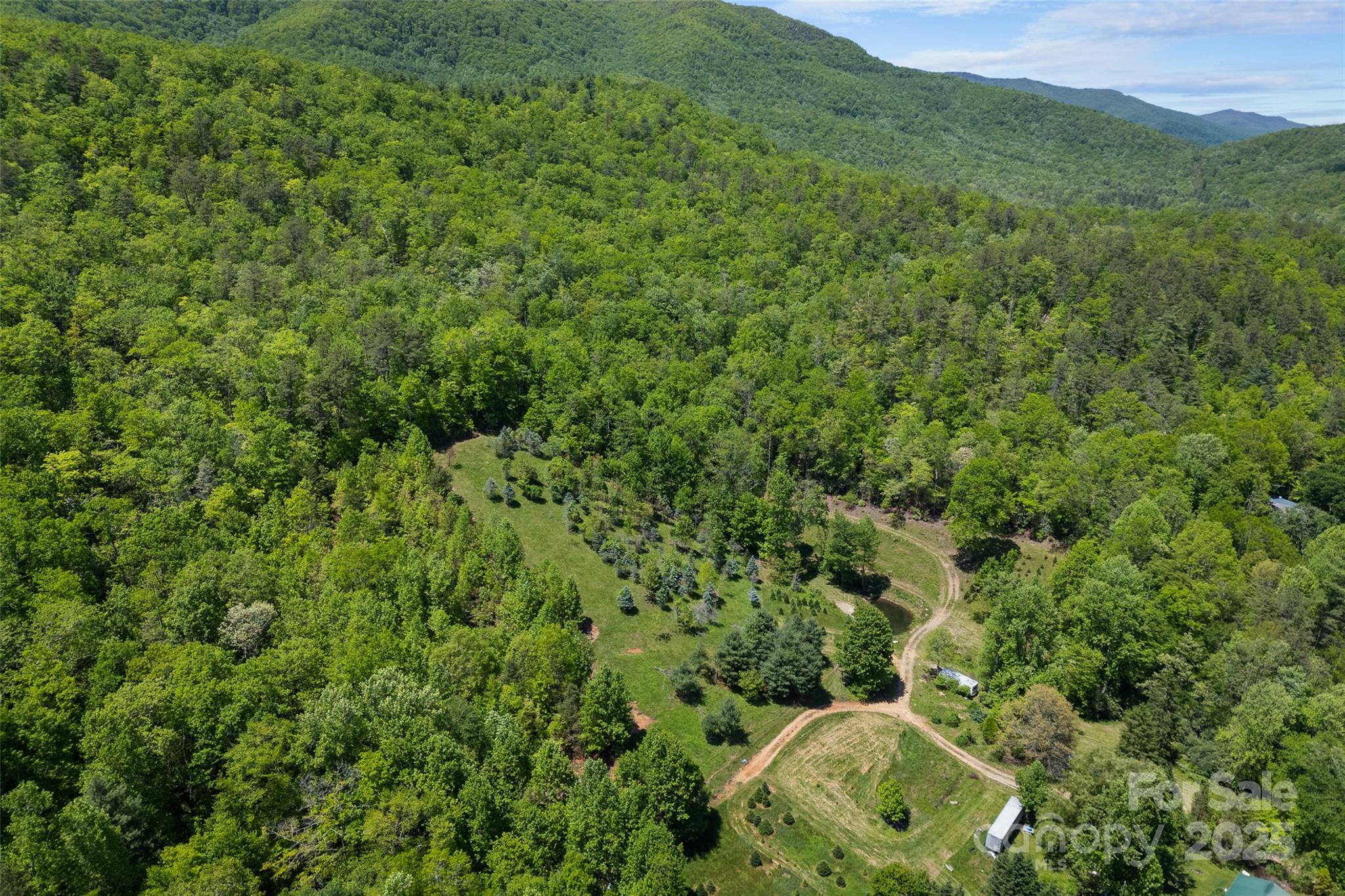 1557 Shoal Creek Road Balsam Grove, NC 28708 - Photo 25 of 33 a view of a forest with a street