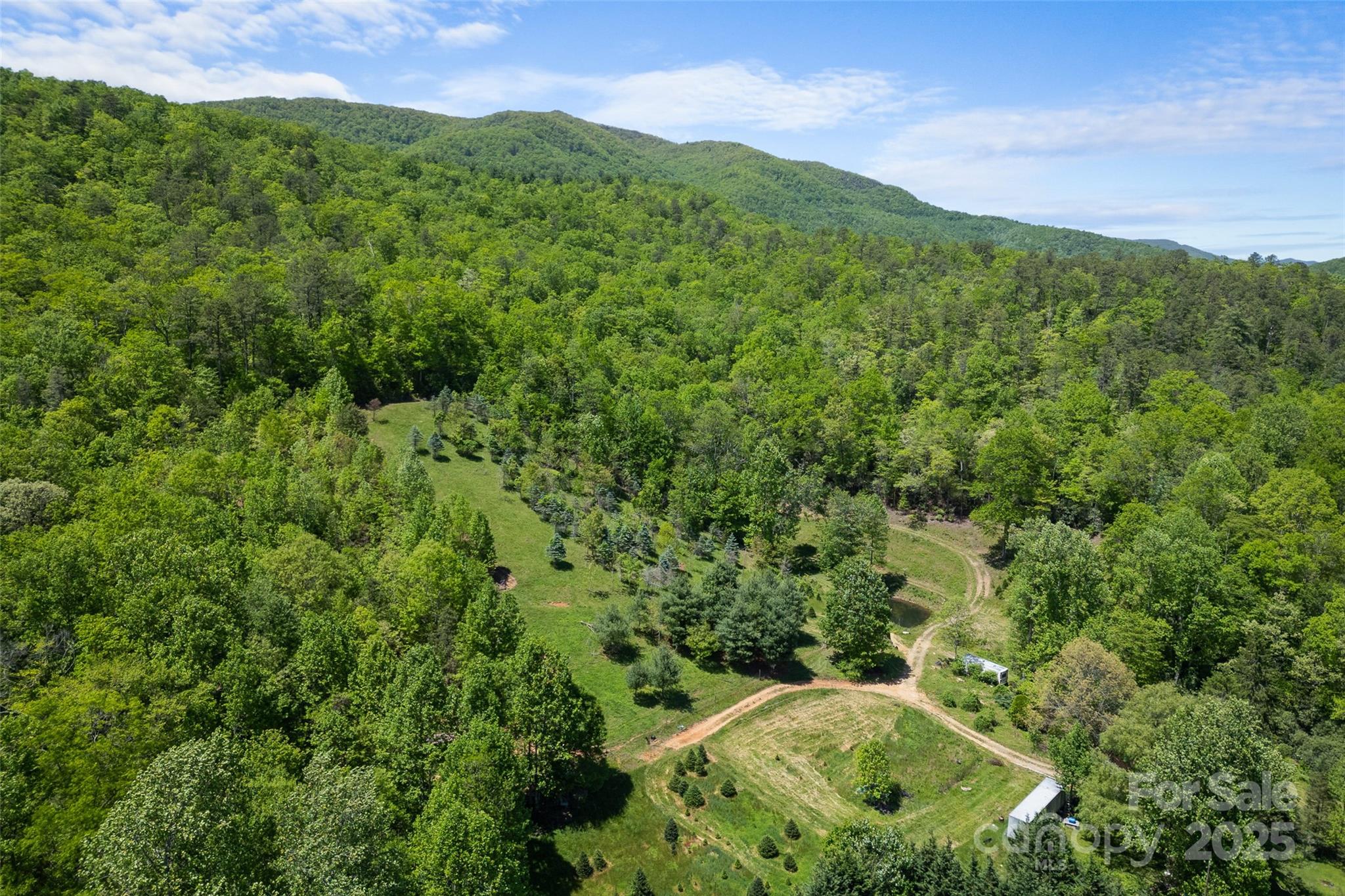 1557 Shoal Creek Road Balsam Grove, NC 28708 - Photo 26 of 33 a view of a lush green forest with trees in the background