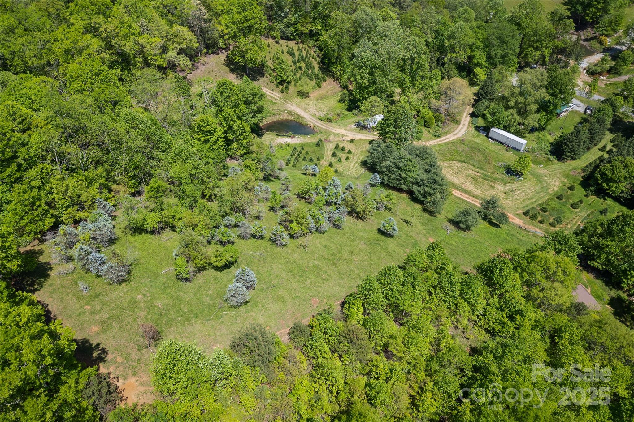 1557 Shoal Creek Road Balsam Grove, NC 28708 - Photo 27 of 33 a view of a lush green space