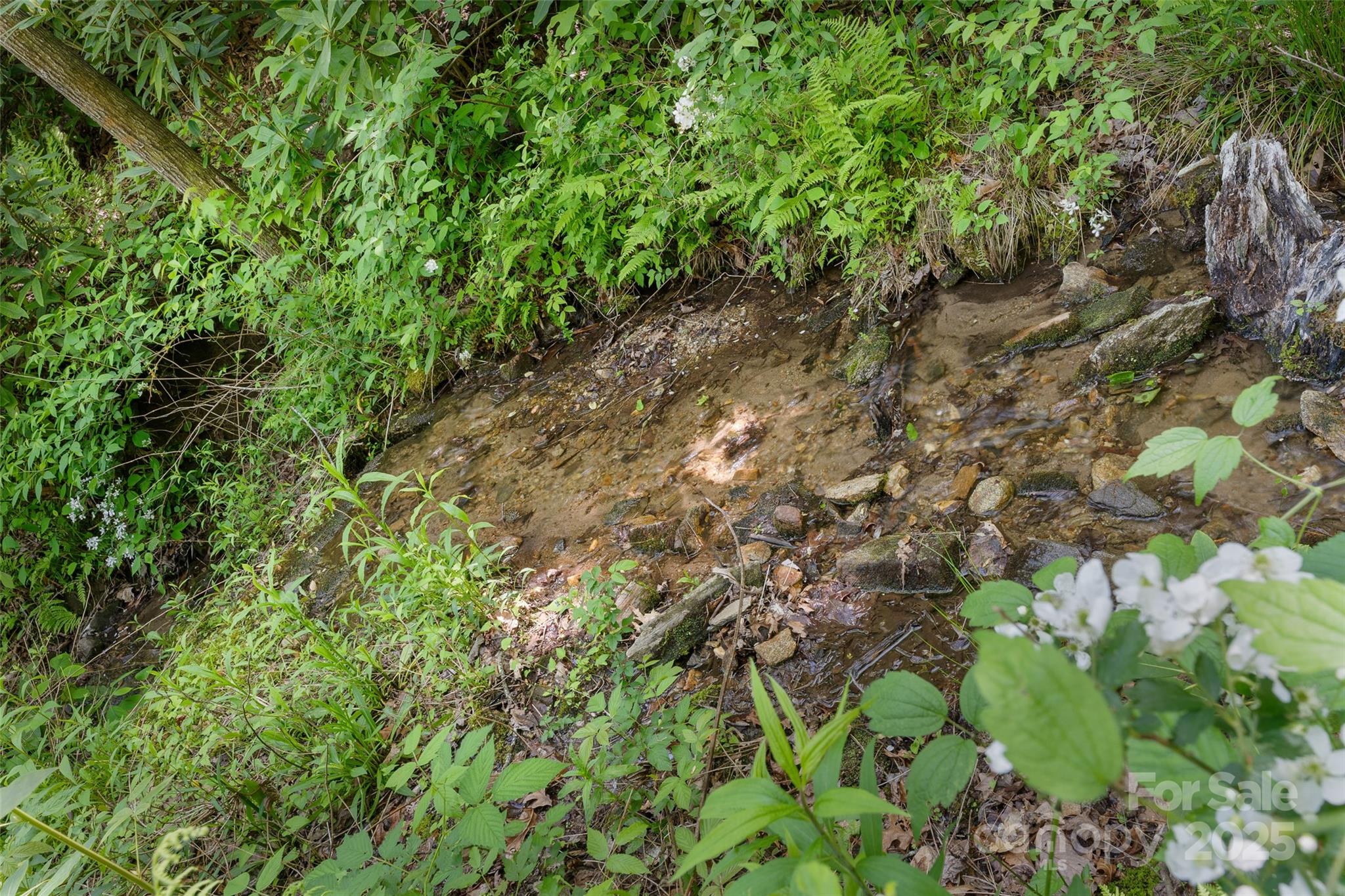 1557 Shoal Creek Road Balsam Grove, NC 28708 - Photo 28 of 33 a backyard of a house with lots of green space