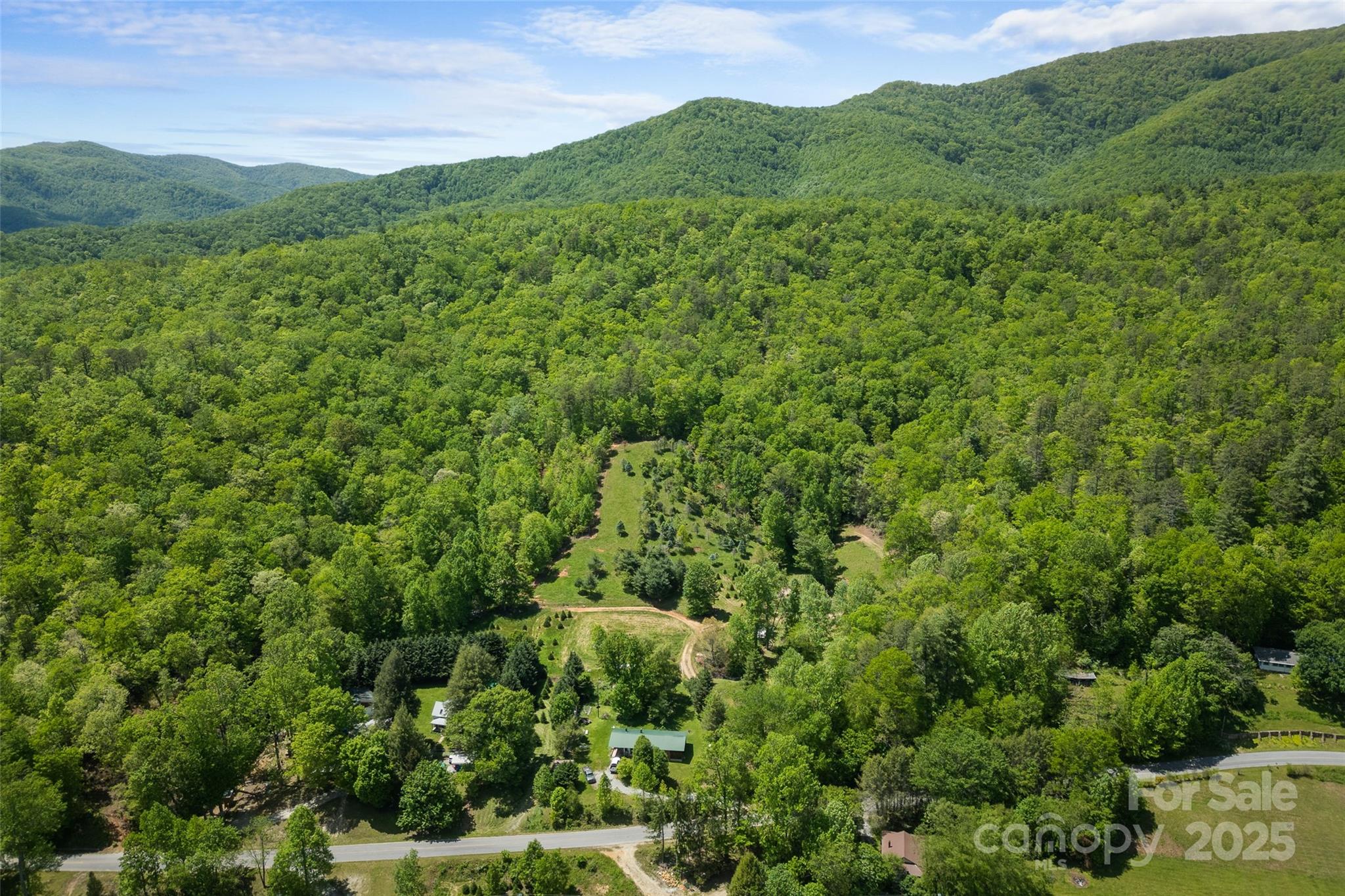 1557 Shoal Creek Road Balsam Grove, NC 28708 - Photo 30 of 33 a view of a lush green forest with lots of trees