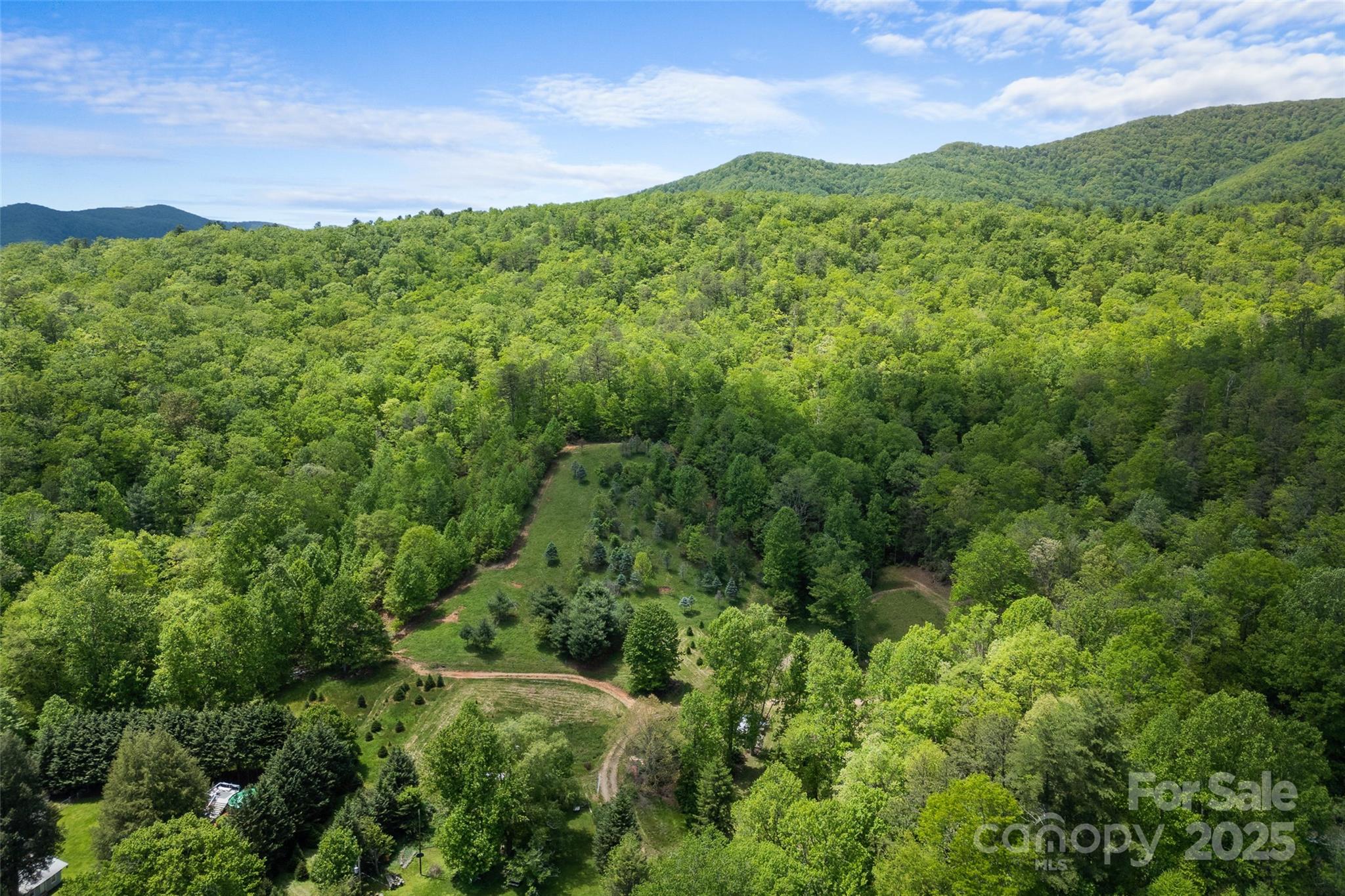1557 Shoal Creek Road Balsam Grove, NC 28708 - Photo 3 of 33 a view of a green field with lots of bushes