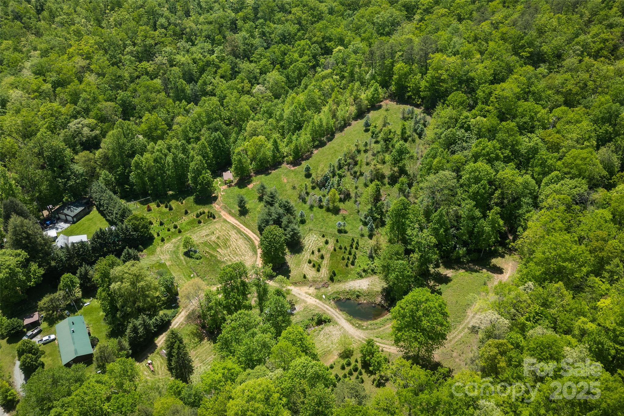 1557 Shoal Creek Road Balsam Grove, NC 28708 - Photo 32 of 33 a view of a lush green forest