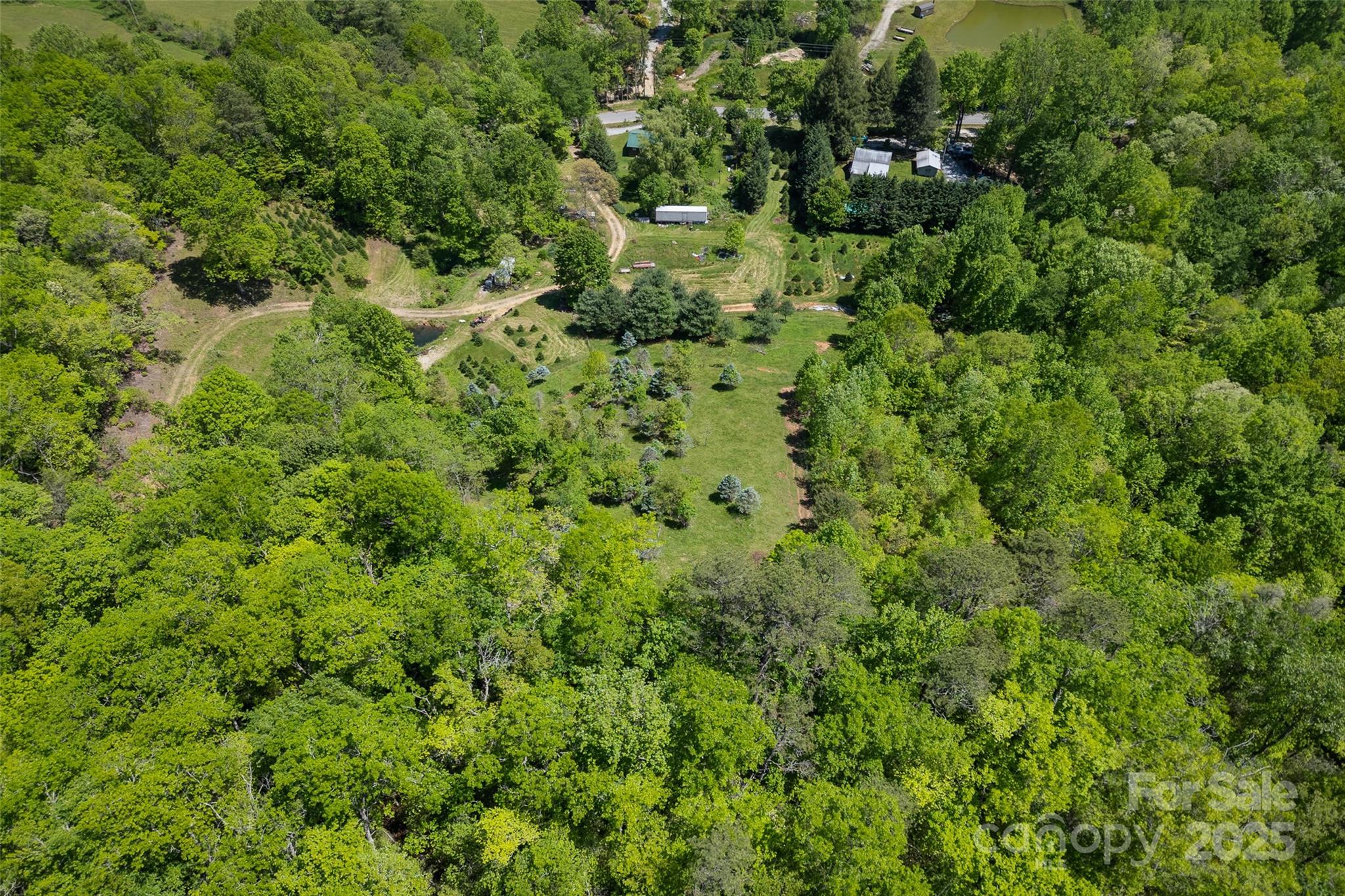 1557 Shoal Creek Road Balsam Grove, NC 28708 - Photo 33 of 33 an aerial view of residential house with outdoor space and trees all around