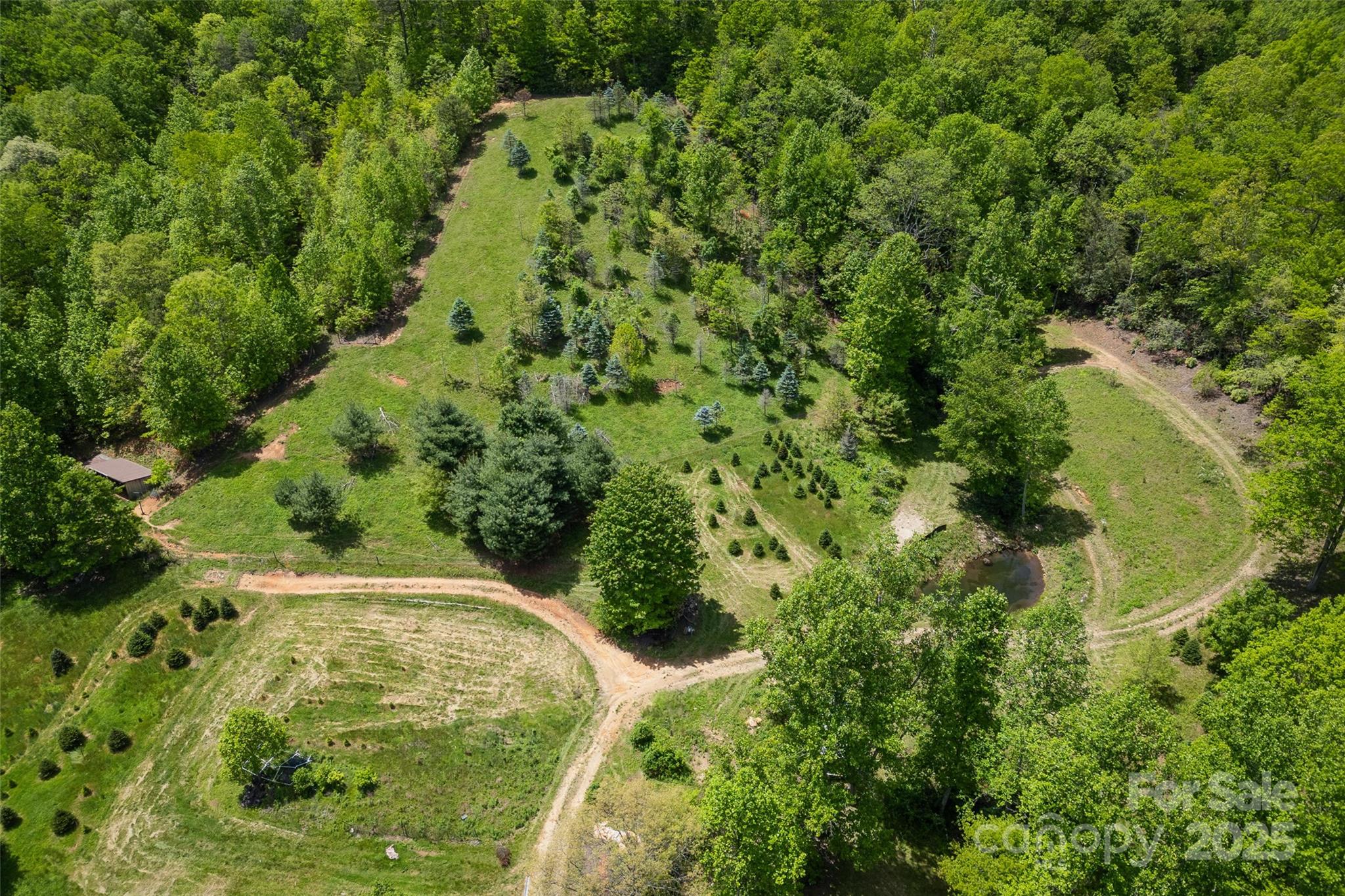 1557 Shoal Creek Road Balsam Grove, NC 28708 - Photo 4 of 33 a view of a garden