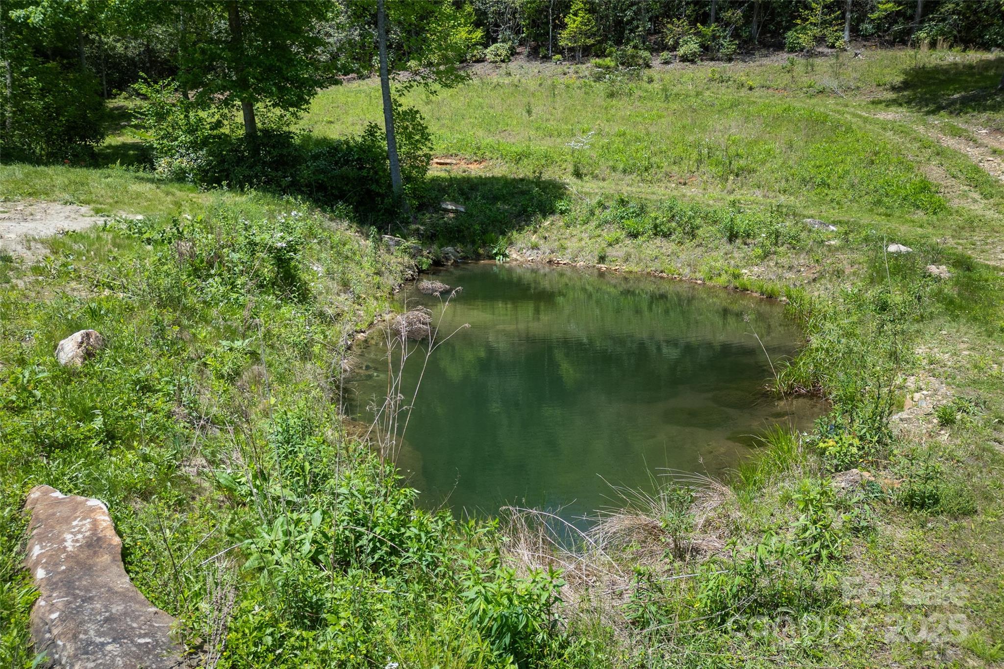 1557 Shoal Creek Road Balsam Grove, NC 28708 - Photo 6 of 33 a view of a garden with a lake