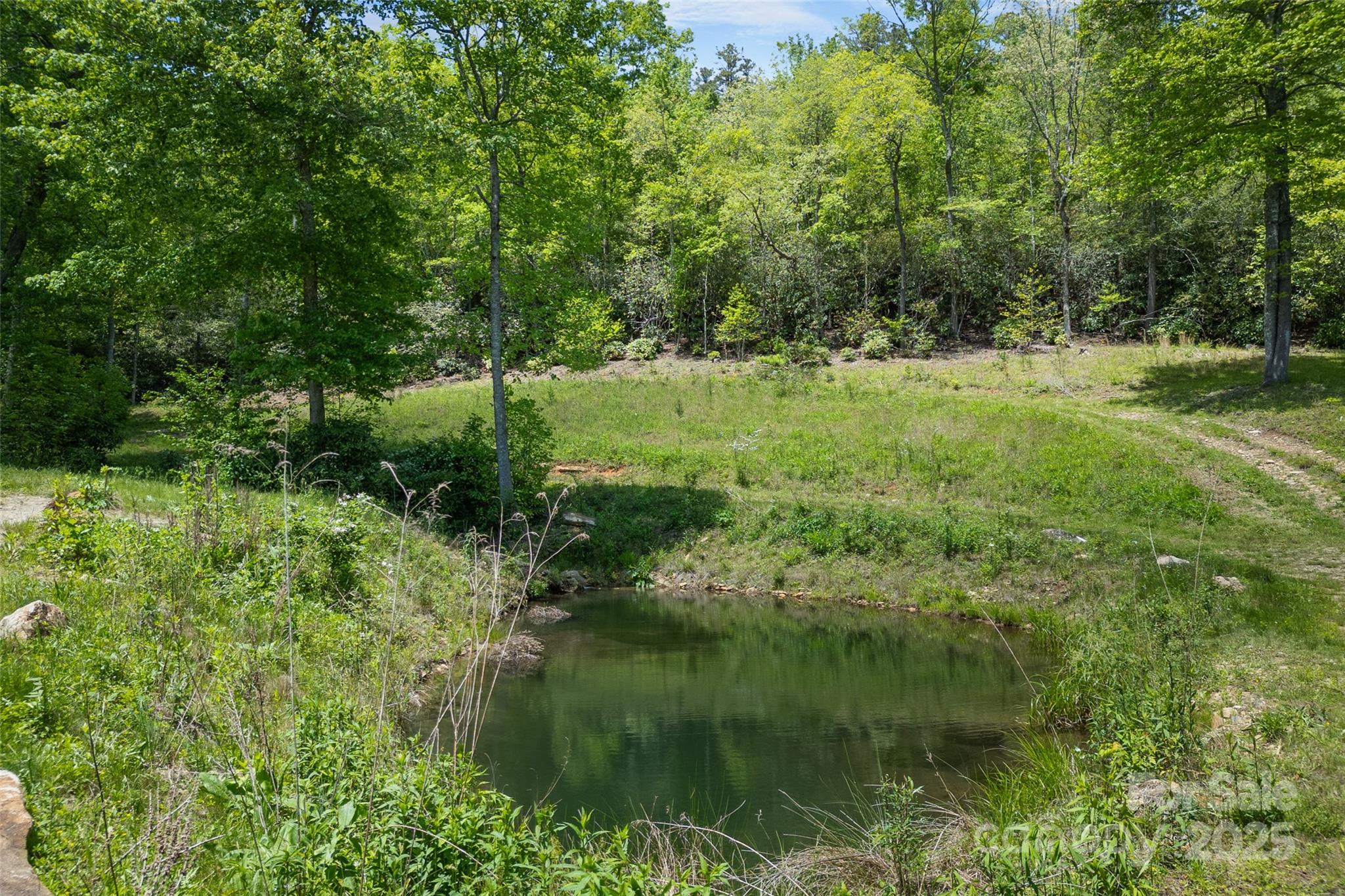 1557 Shoal Creek Road Balsam Grove, NC 28708 - Photo 7 of 33 a view of outdoor space with a garden