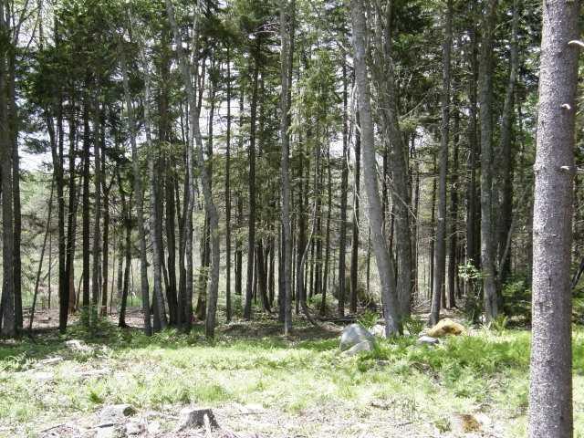 7 Old Woods Road St. George, ME 04860 - Photo 1 of 5 Land.