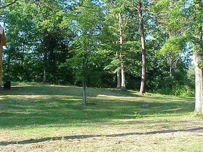 179 Millstone Road Clay City, KY 40312 - Photo 11 of 14 View of the yard on the right side of th