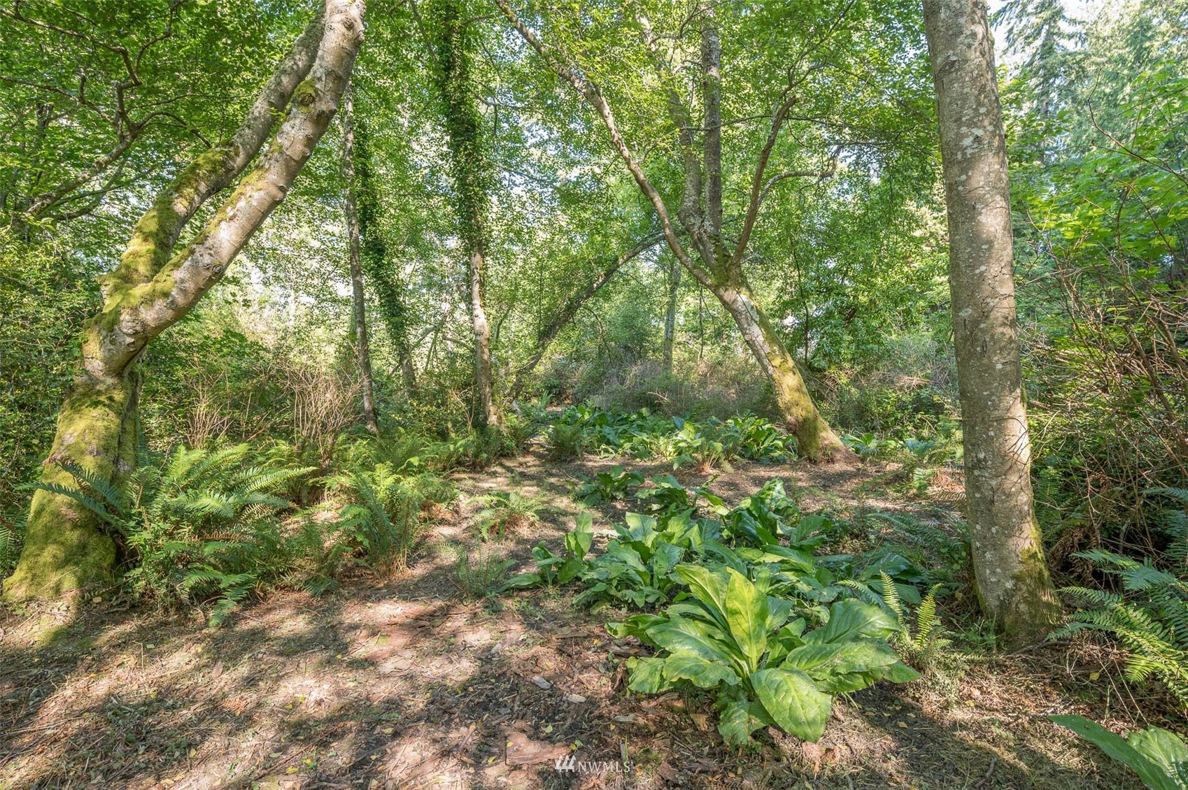 250-xx Raymond Road Southwest Vashon, WA 98070 - Photo 12 of 17 Gallery Image 12
