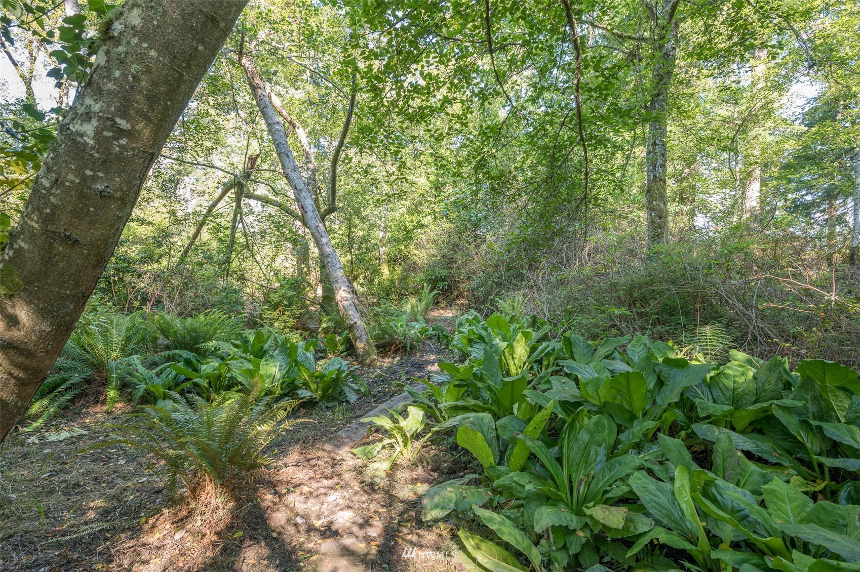 250-xx Raymond Road Southwest Vashon, WA 98070 - Photo 14 of 17 Gallery Image 14