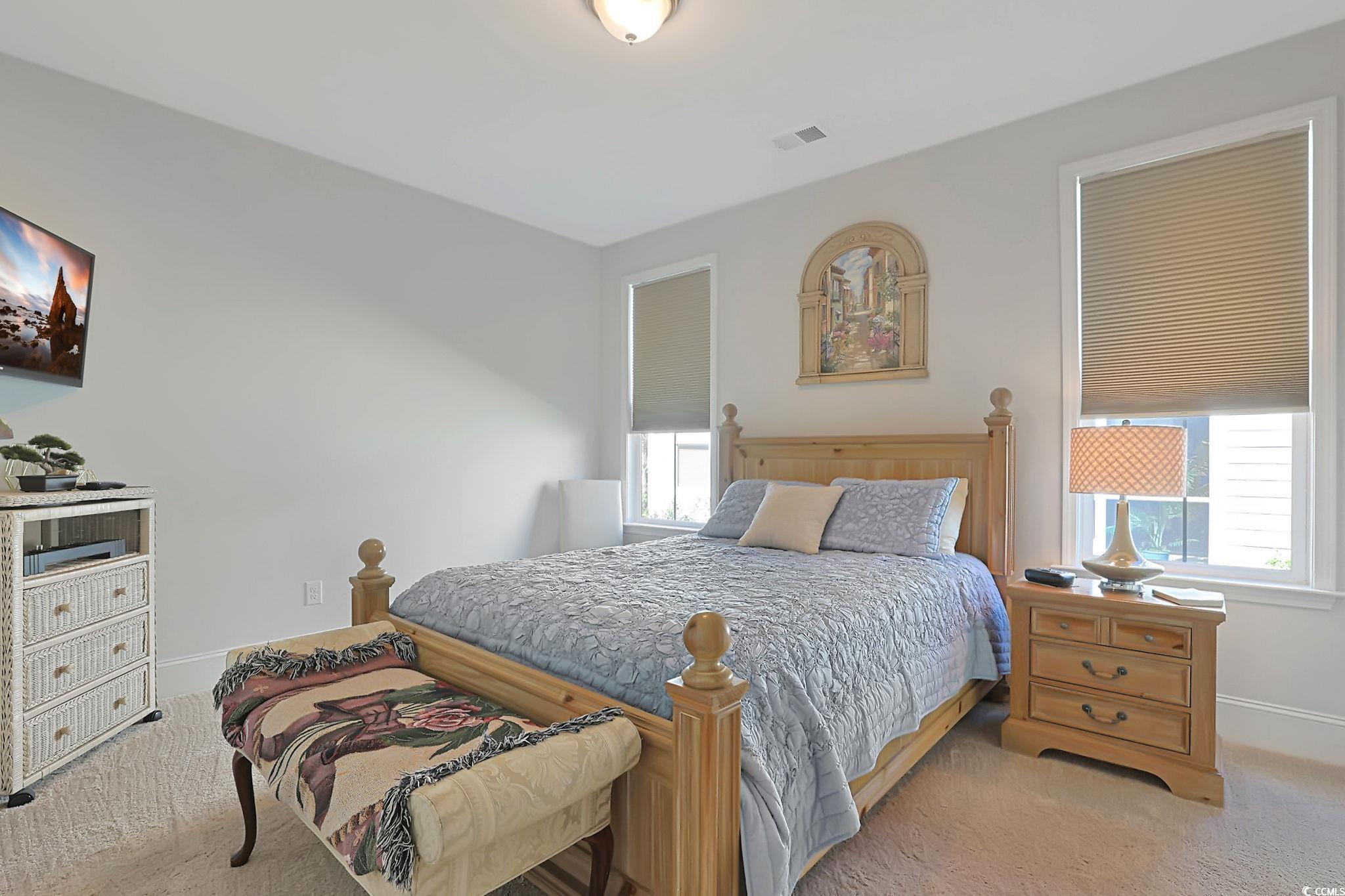 138 Blackwater Drive Murrells Inlet, SC 29576 - Photo 19 of 38