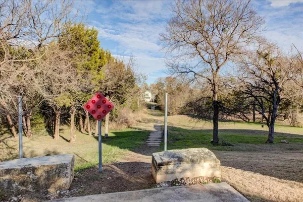 a view of a yard with plants