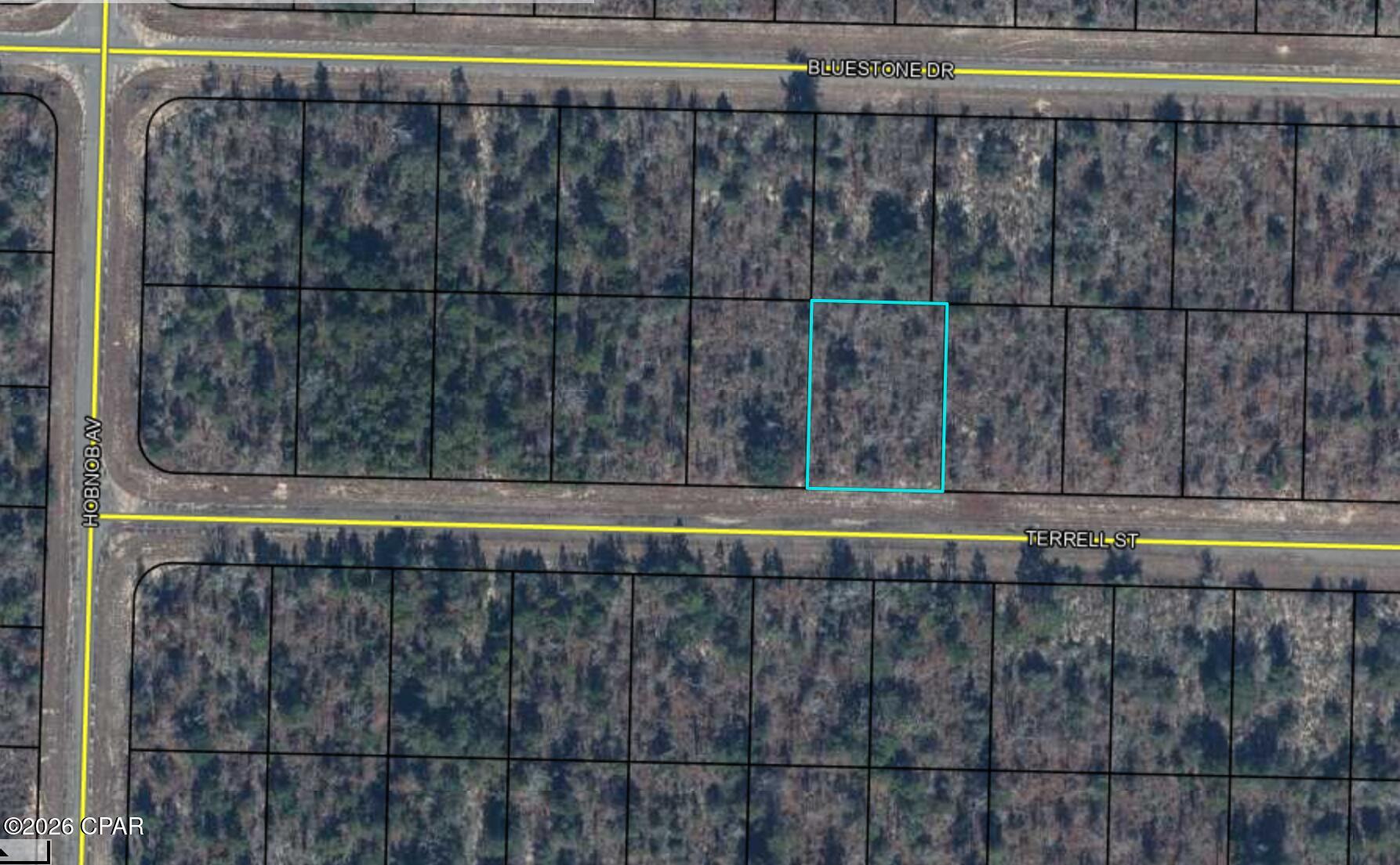 0 Terrell Street Chipley, FL 32428 - Photo 1 of 2