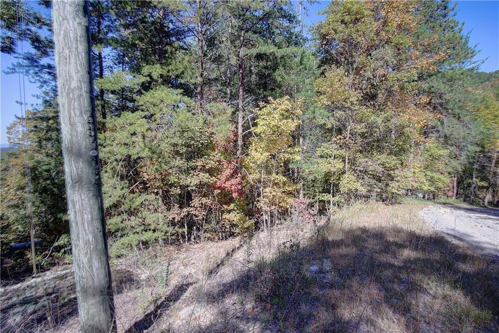169 Jasmine Drive Ranger, GA 30734 - Photo 1 of 61