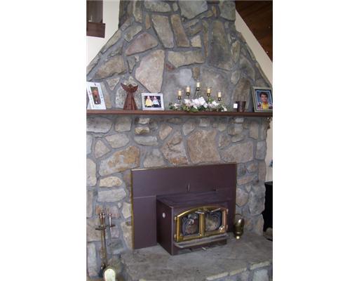 Other. Fireplace
