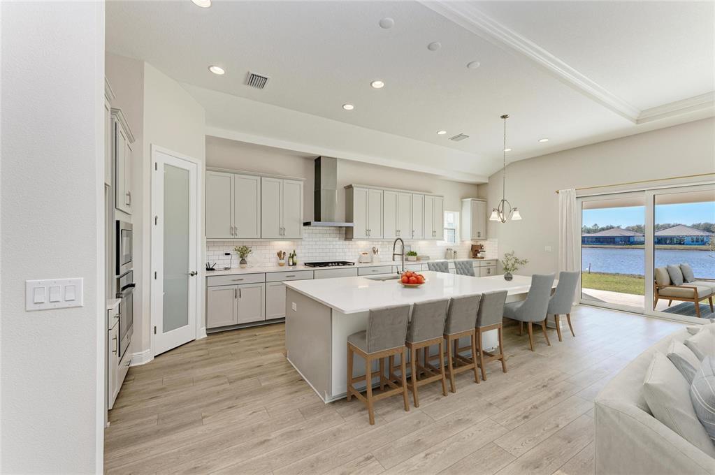 14867 Rider Pass Drive Lithia, FL 33547 - Photo 2 of 34