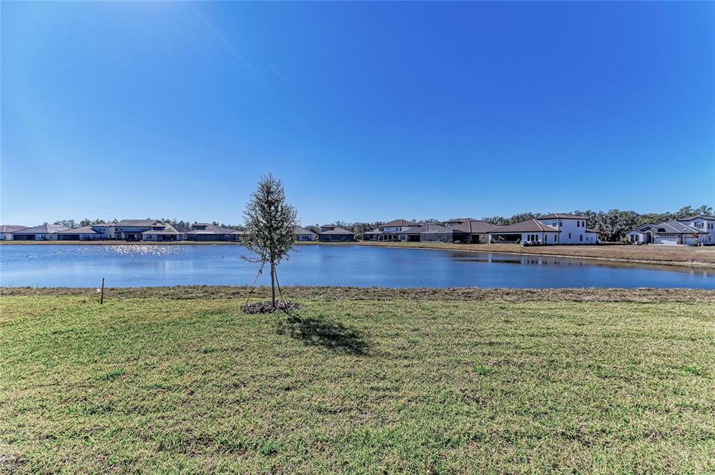 14867 Rider Pass Drive Lithia, FL 33547 - Photo 34 of 34