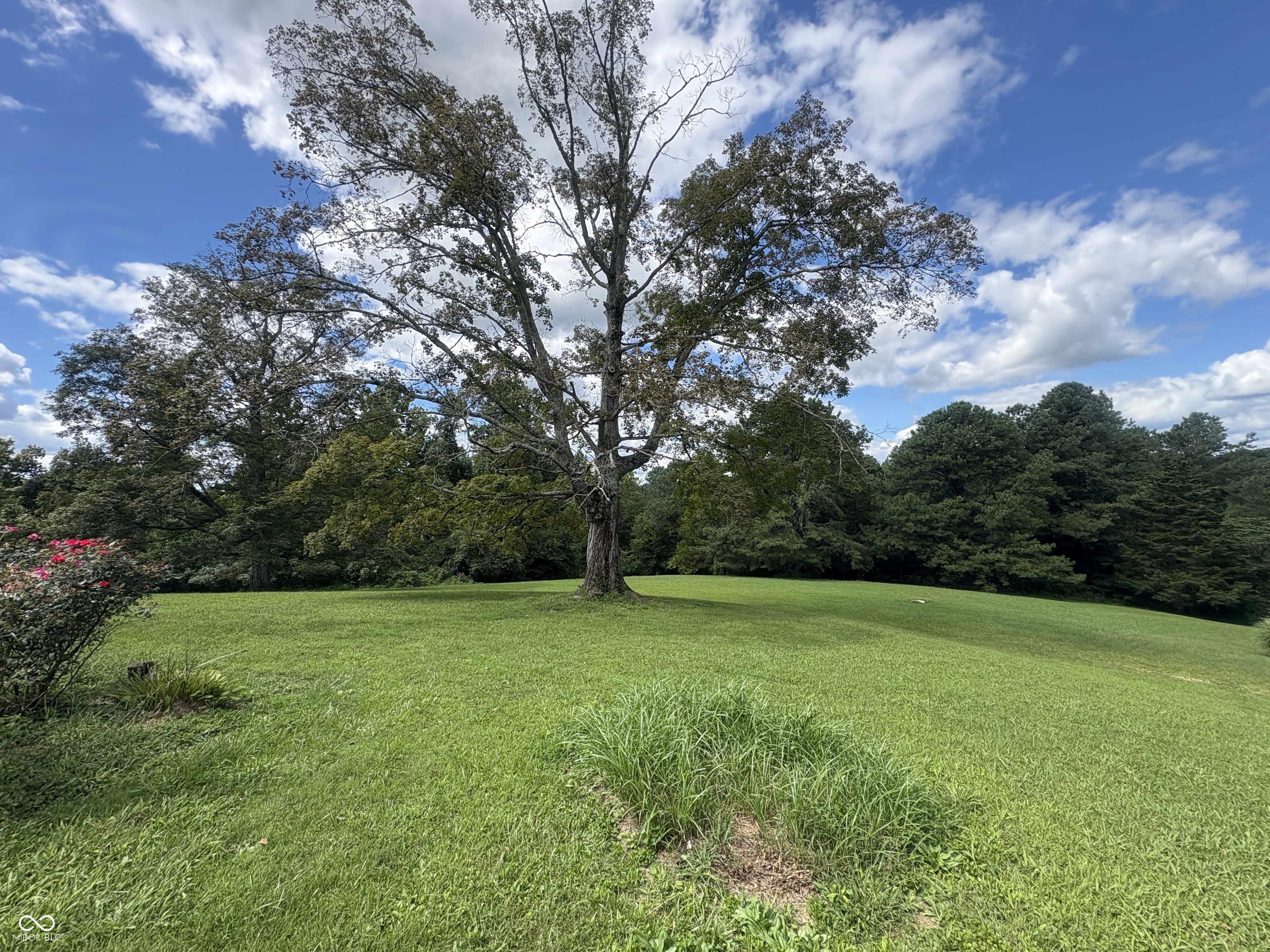 7939 Highway 43 Spencer, IN 47460 - Photo 5 of 21