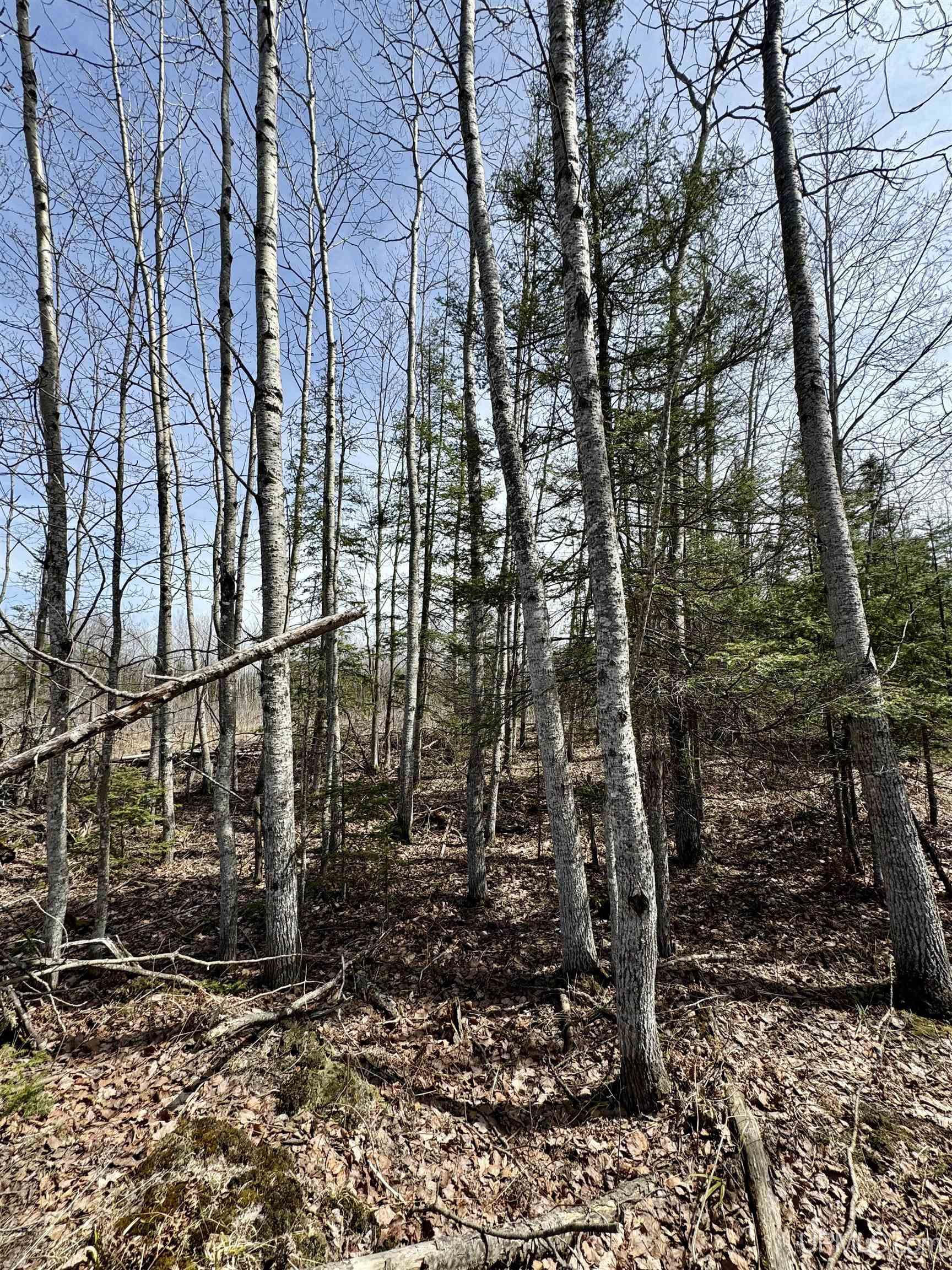 426 40 Road Cornell, MI 49818 - Photo 24 of 31